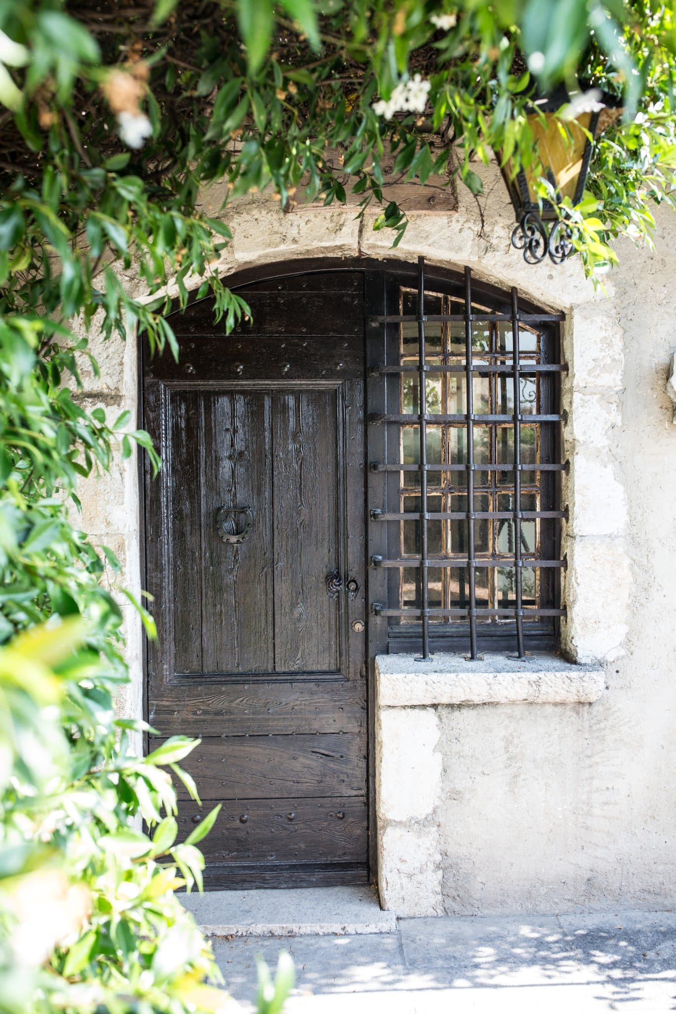 Porte arboré et en bois de la demeure