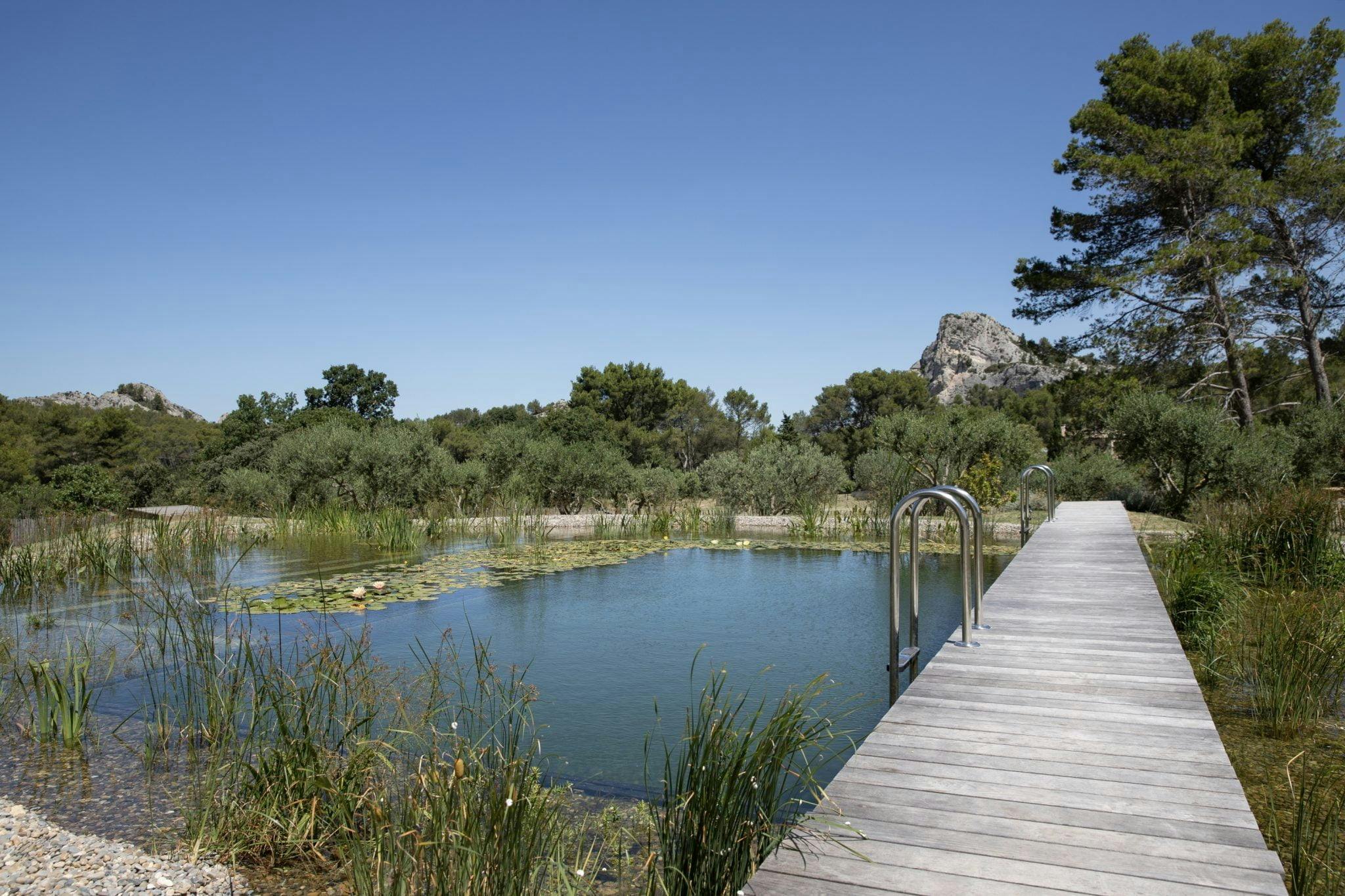 In the Alpilles mountain range, a farmhouse with a natural pool.