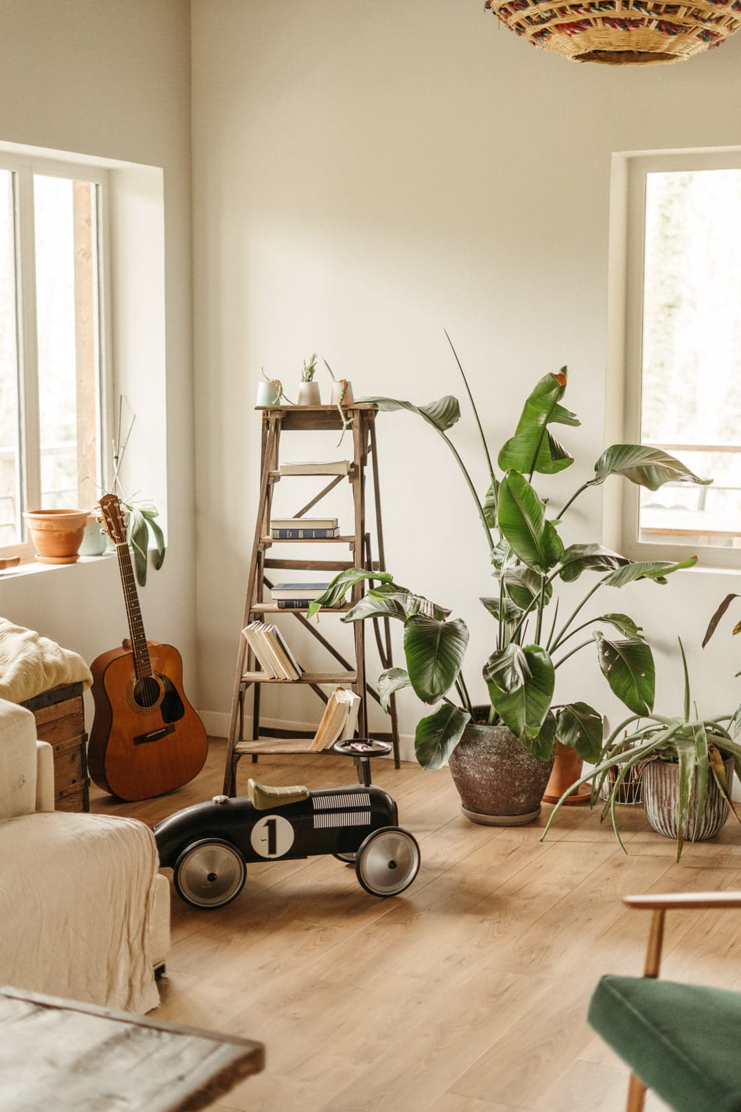 detail of the living room: children's toys and plant