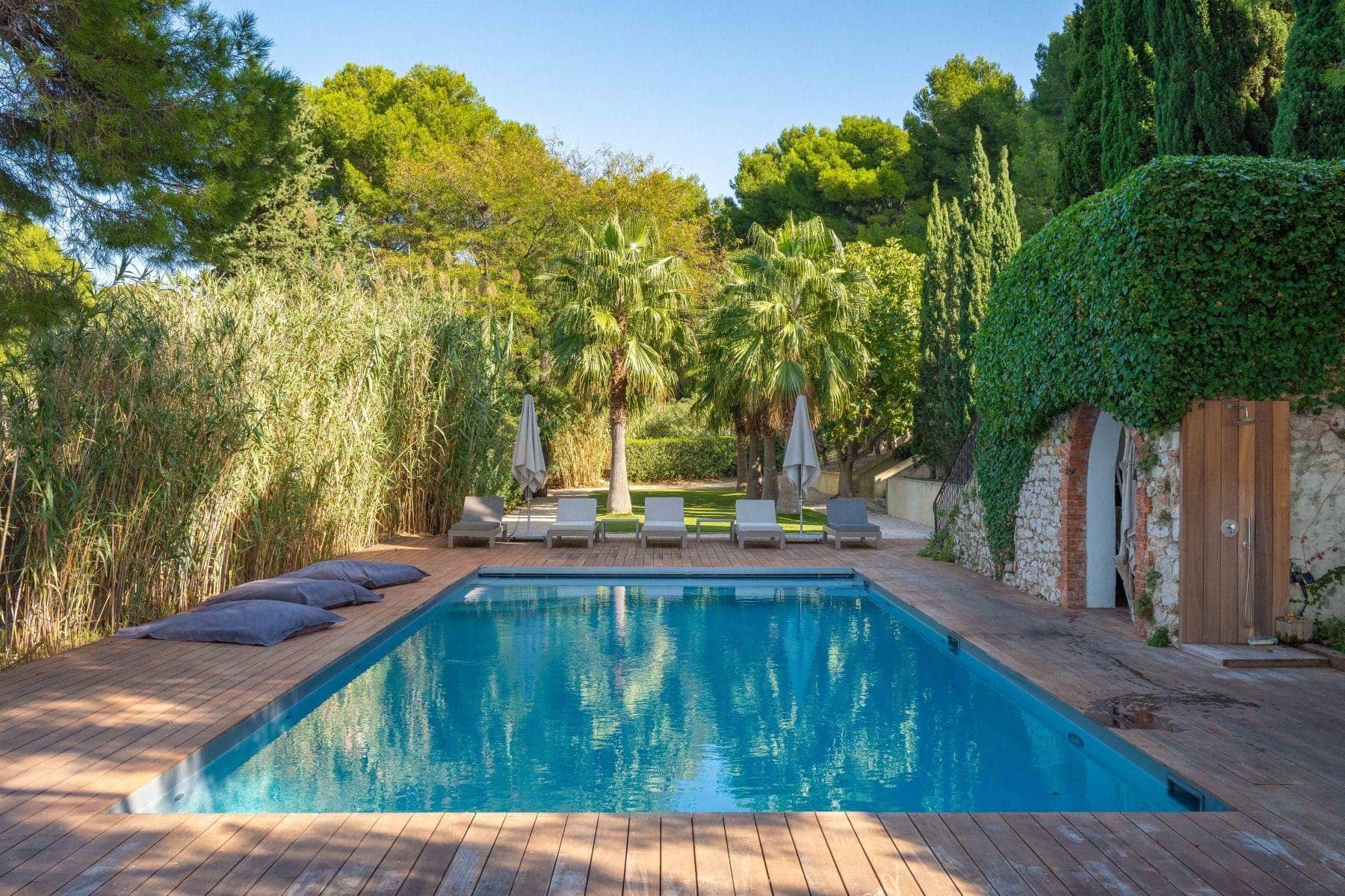 A serene outdoor swimming pool surrounded by lush greenery, including tall trees and palm trees. Reclining chairs and umbrellas are positioned at one end of the pool on a wooden deck, creating a relaxing and tranquil setting.