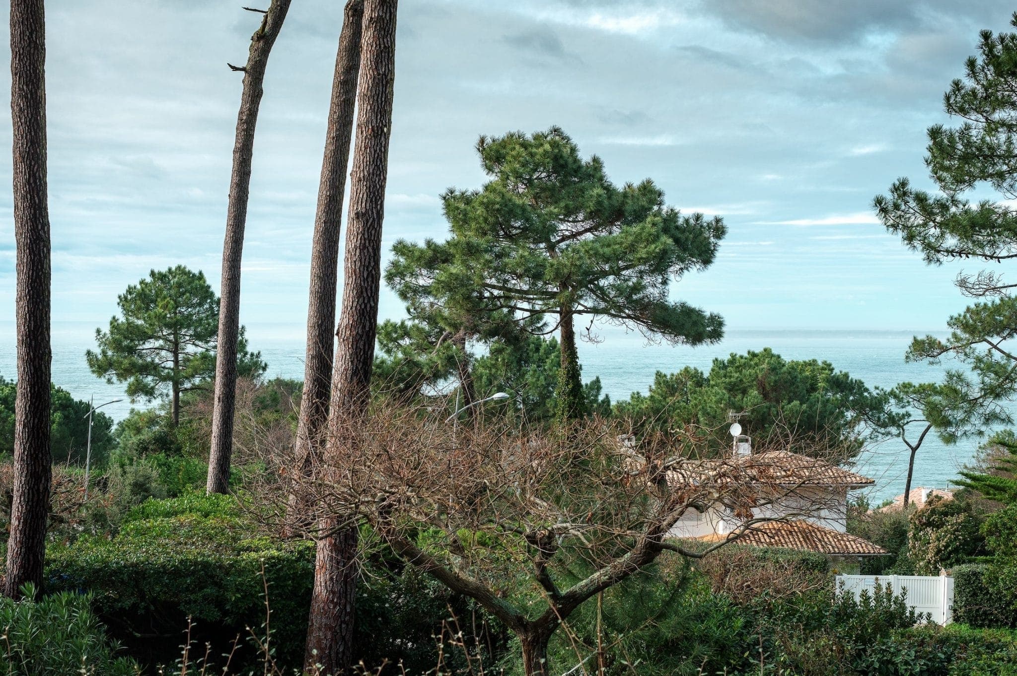 View of a coastal landscape in the Landes region featuring tall pine trees, a glimpse of villa rooftops, and the ocean in the background. The sky is partly cloudy, and the scene conveys a tranquil, natural setting.