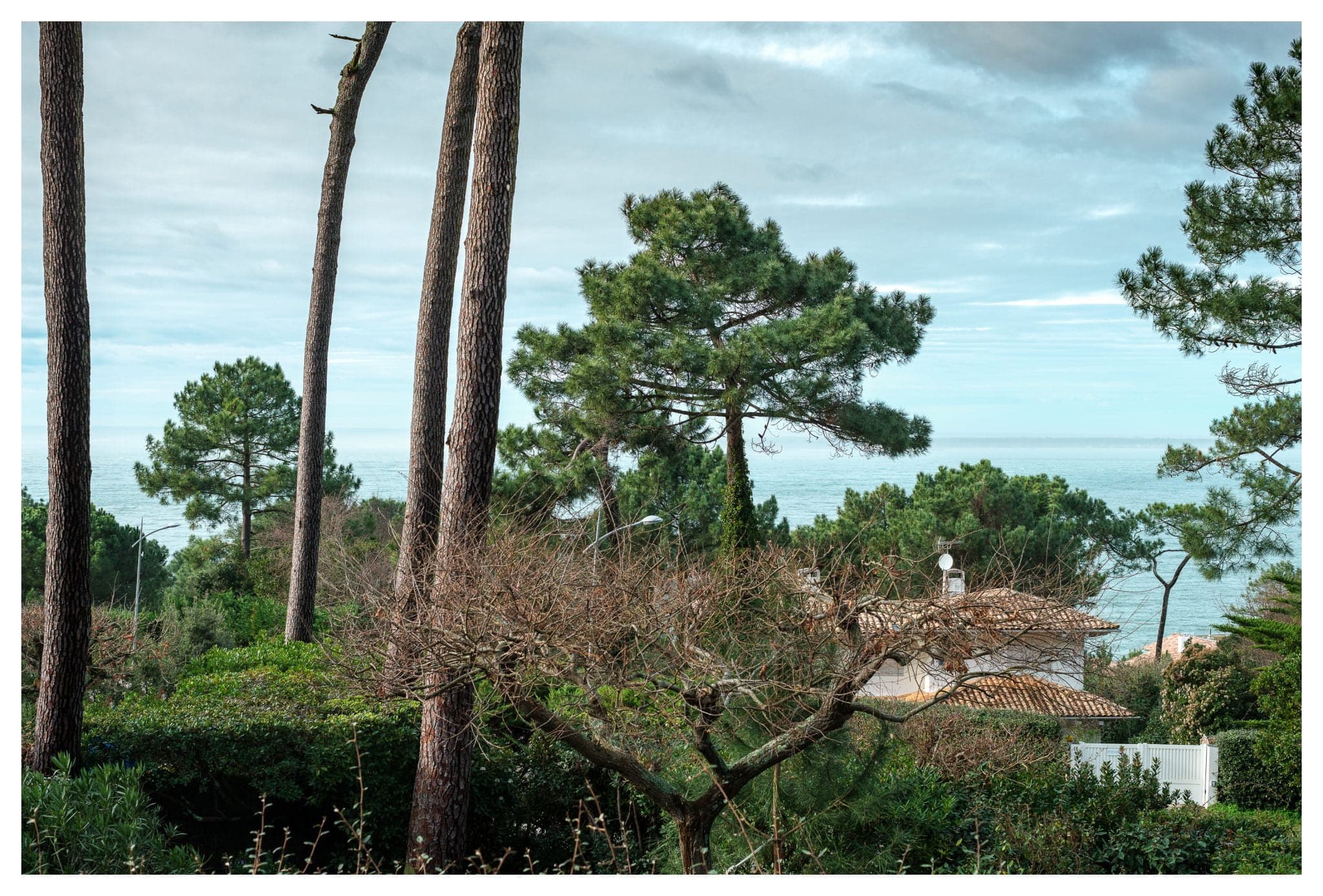 vue sur la nature et le jardin