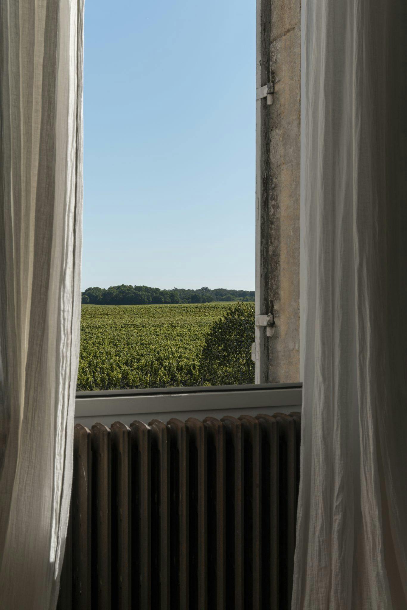 vue par la fenêtre du château sur les vignes