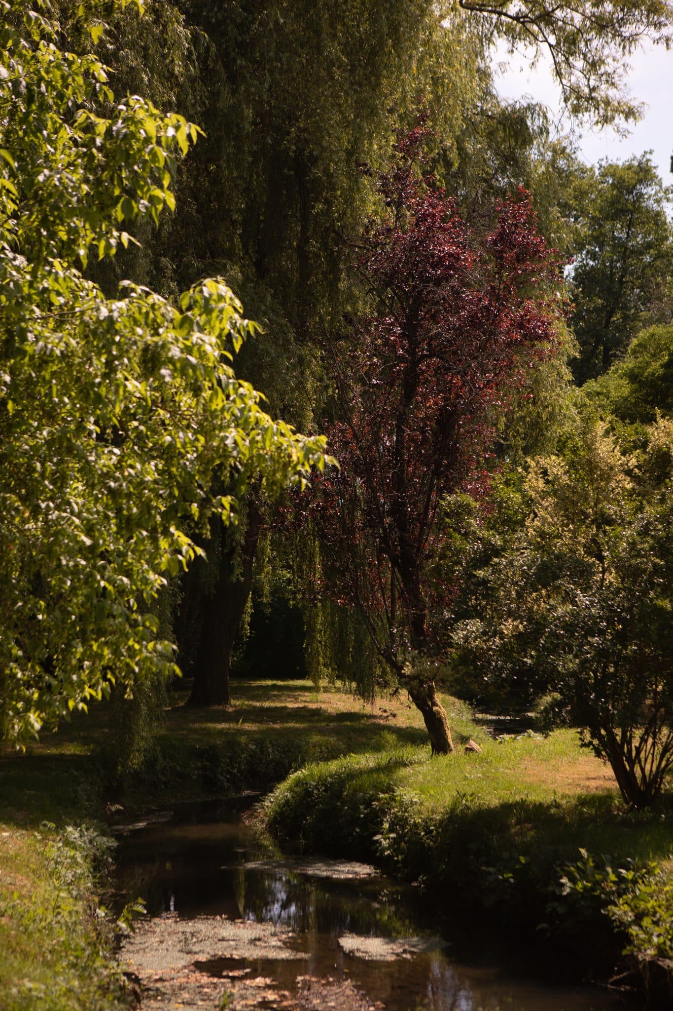 mill garden, forest and river