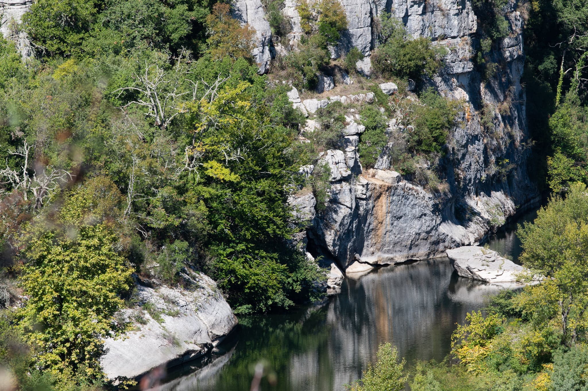 rivière près de la maison