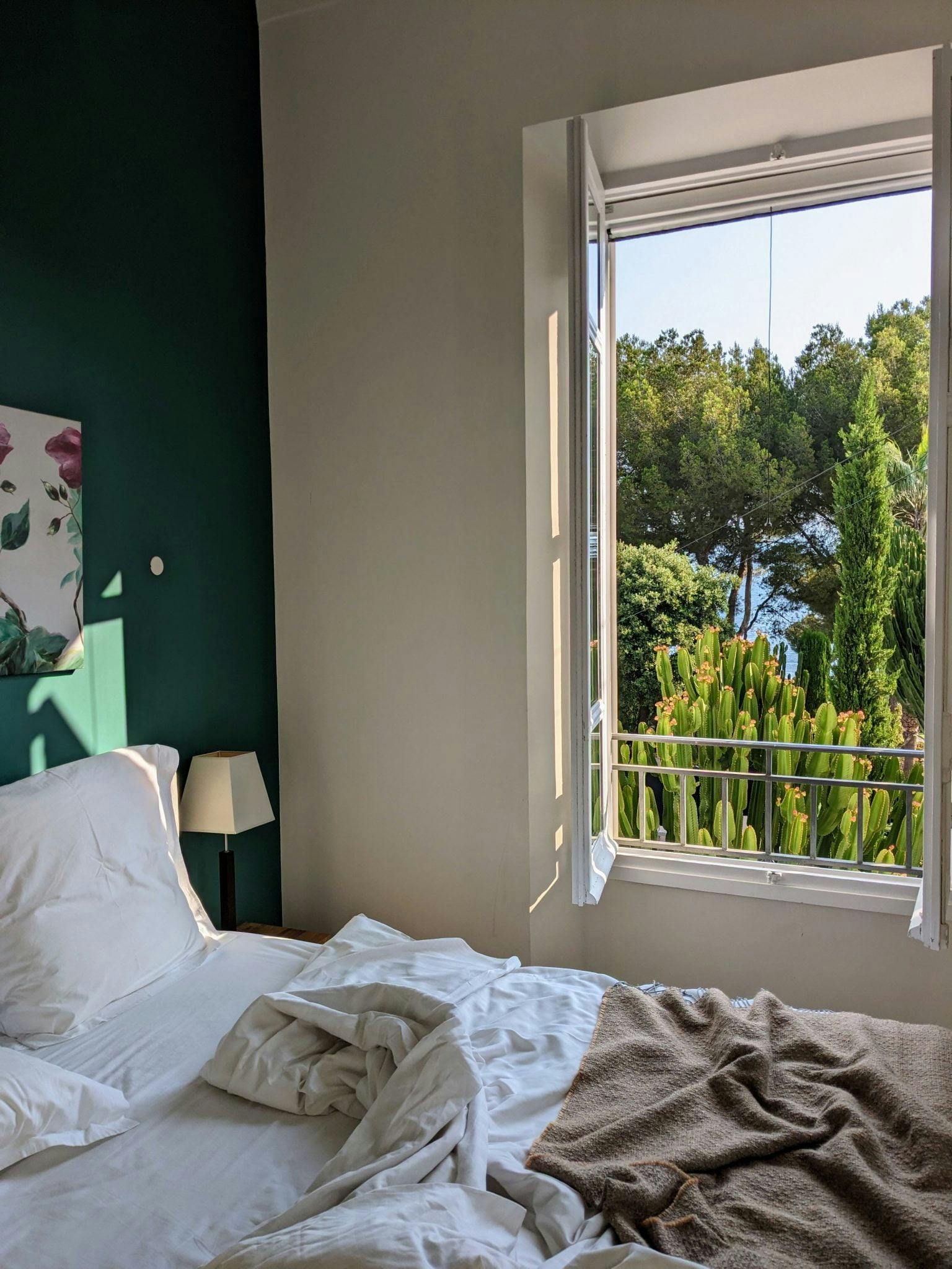 Room with green wall, unmade bed and view of a cactus and other green trees