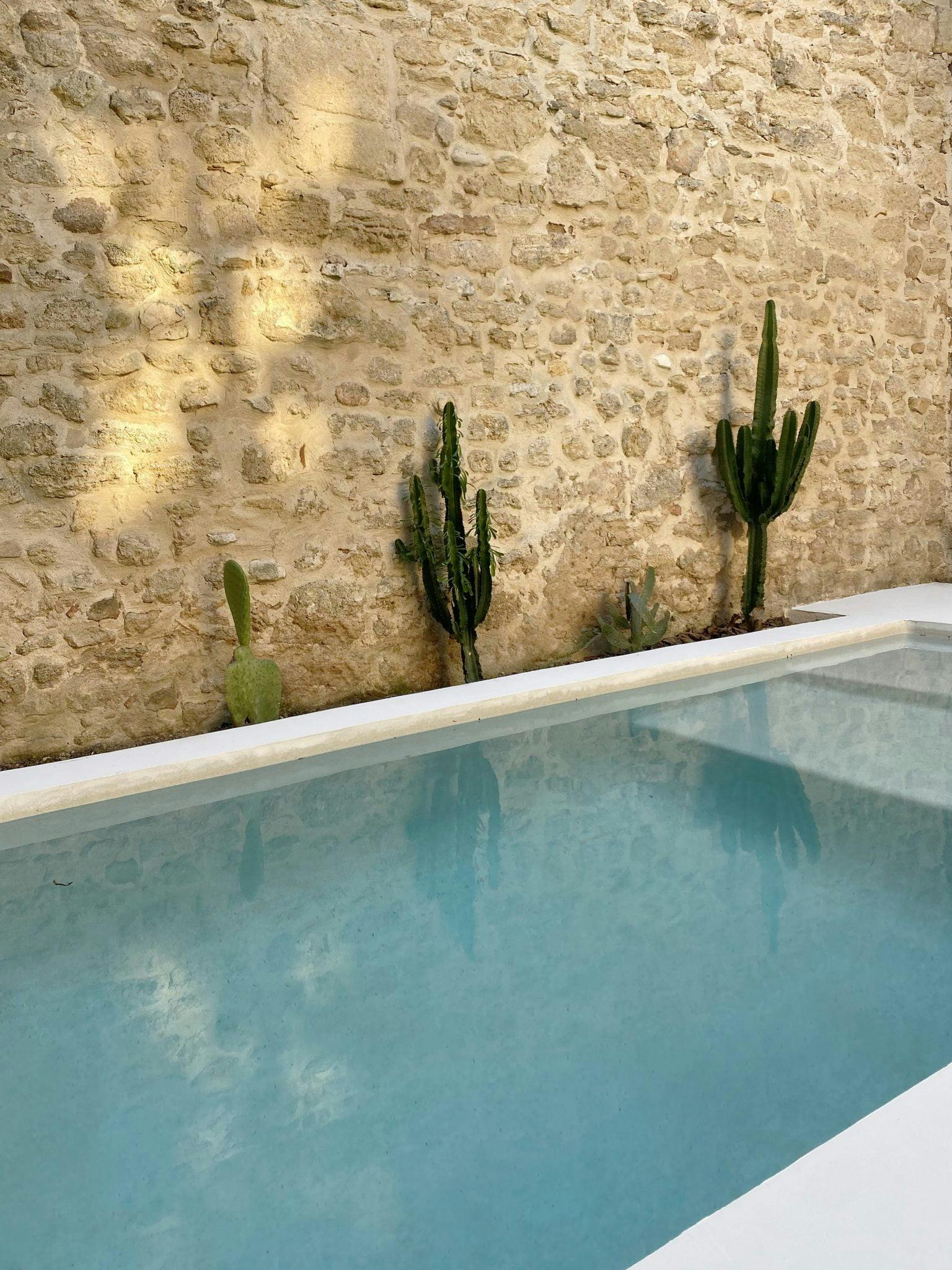 Dream pool lined with cactus and high stone walls