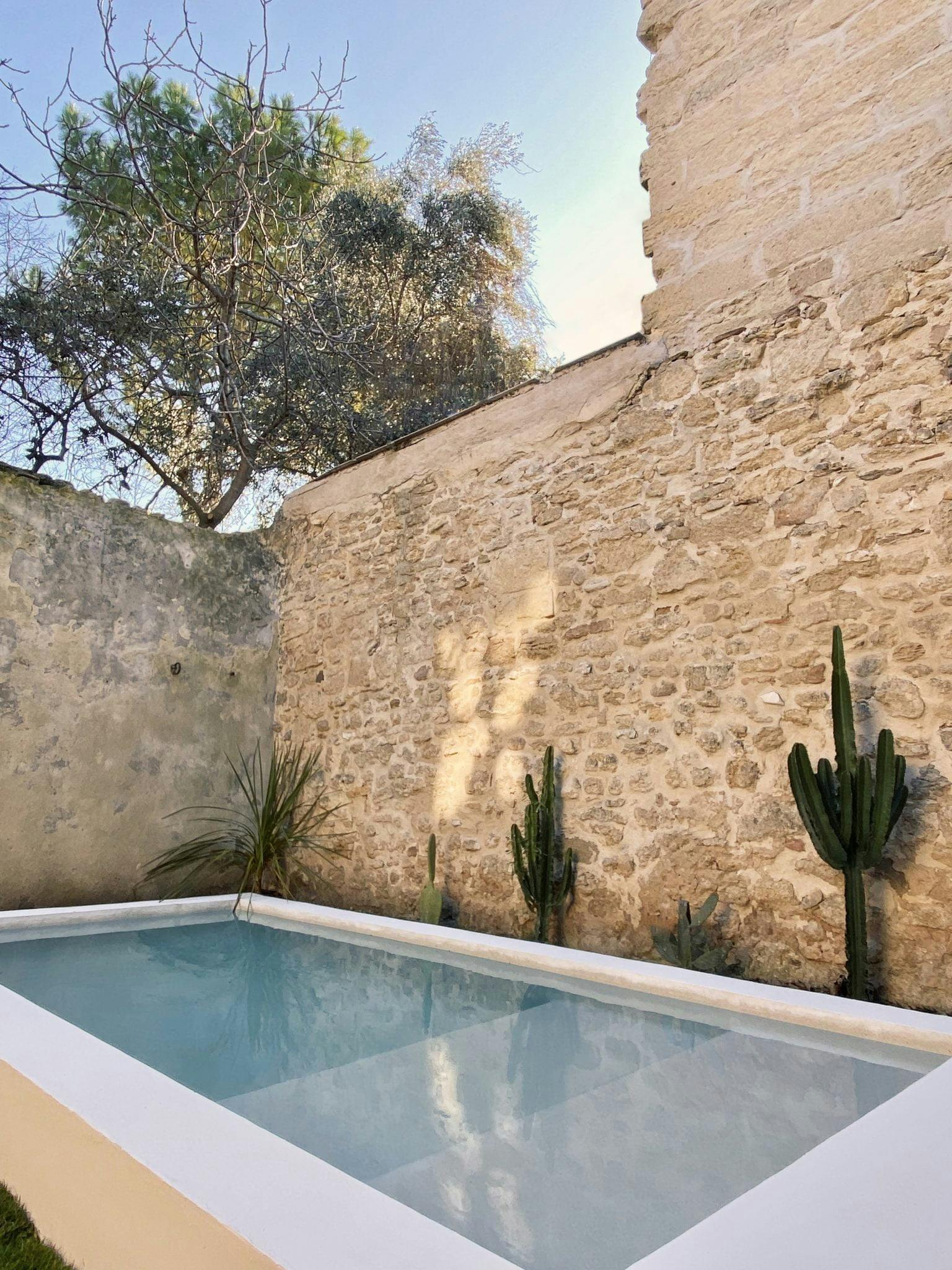Dream pool lined with cactus and high stone walls