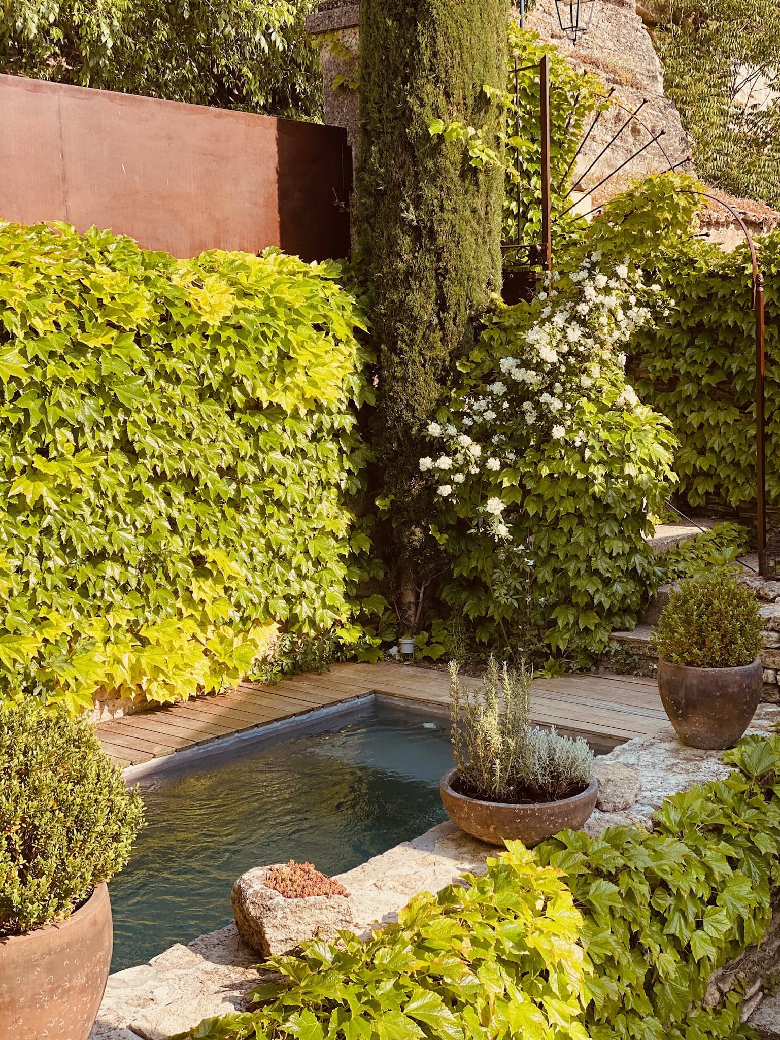 vue sur la piscine arborée