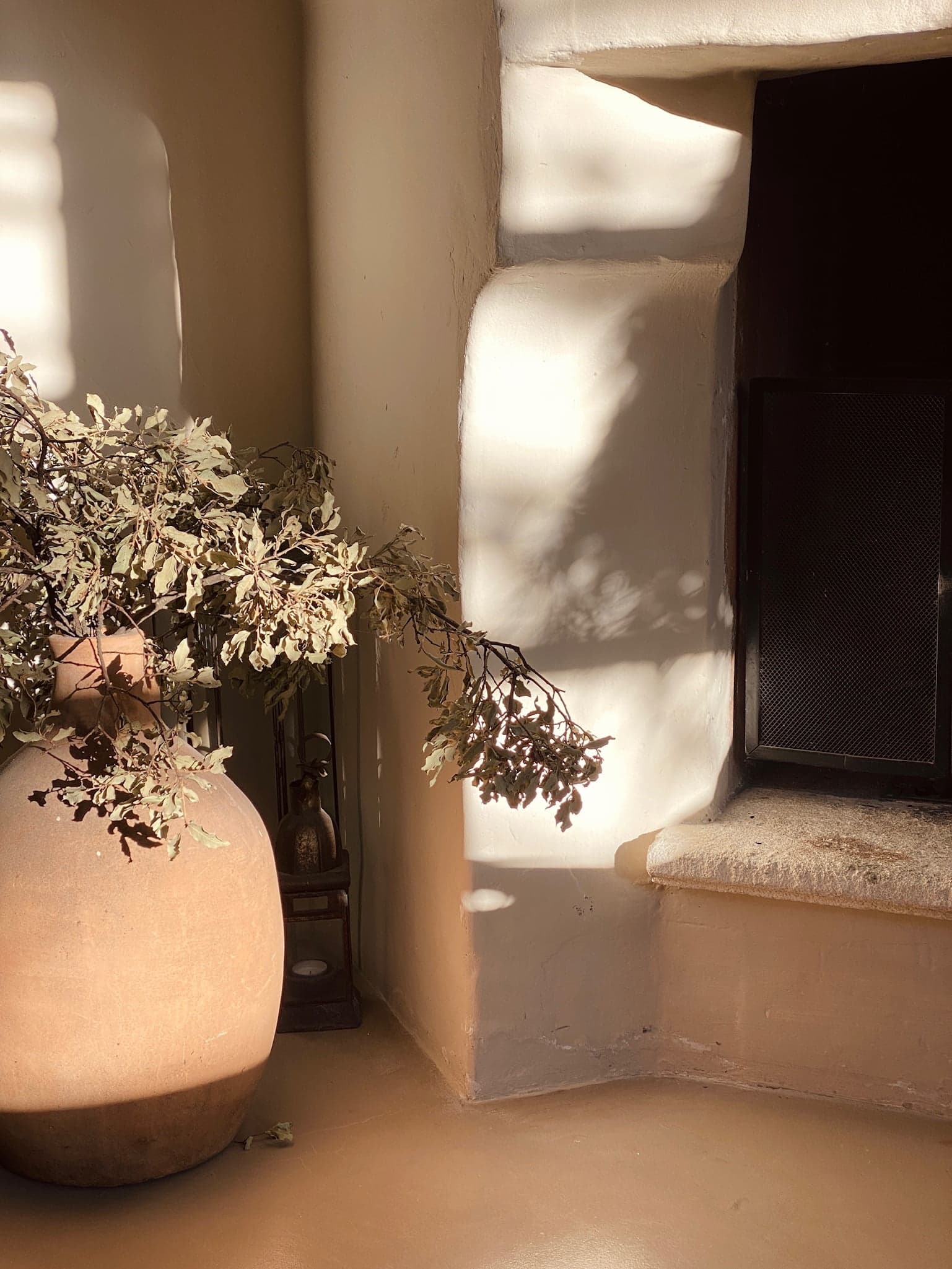 decoration, pot en terre cuite et plante