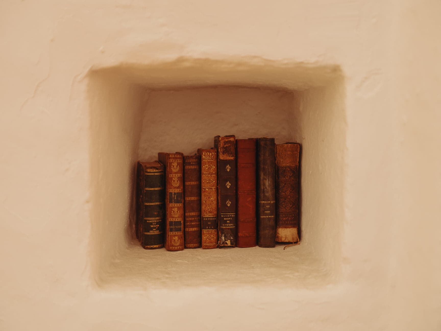 Alcove containing antique books