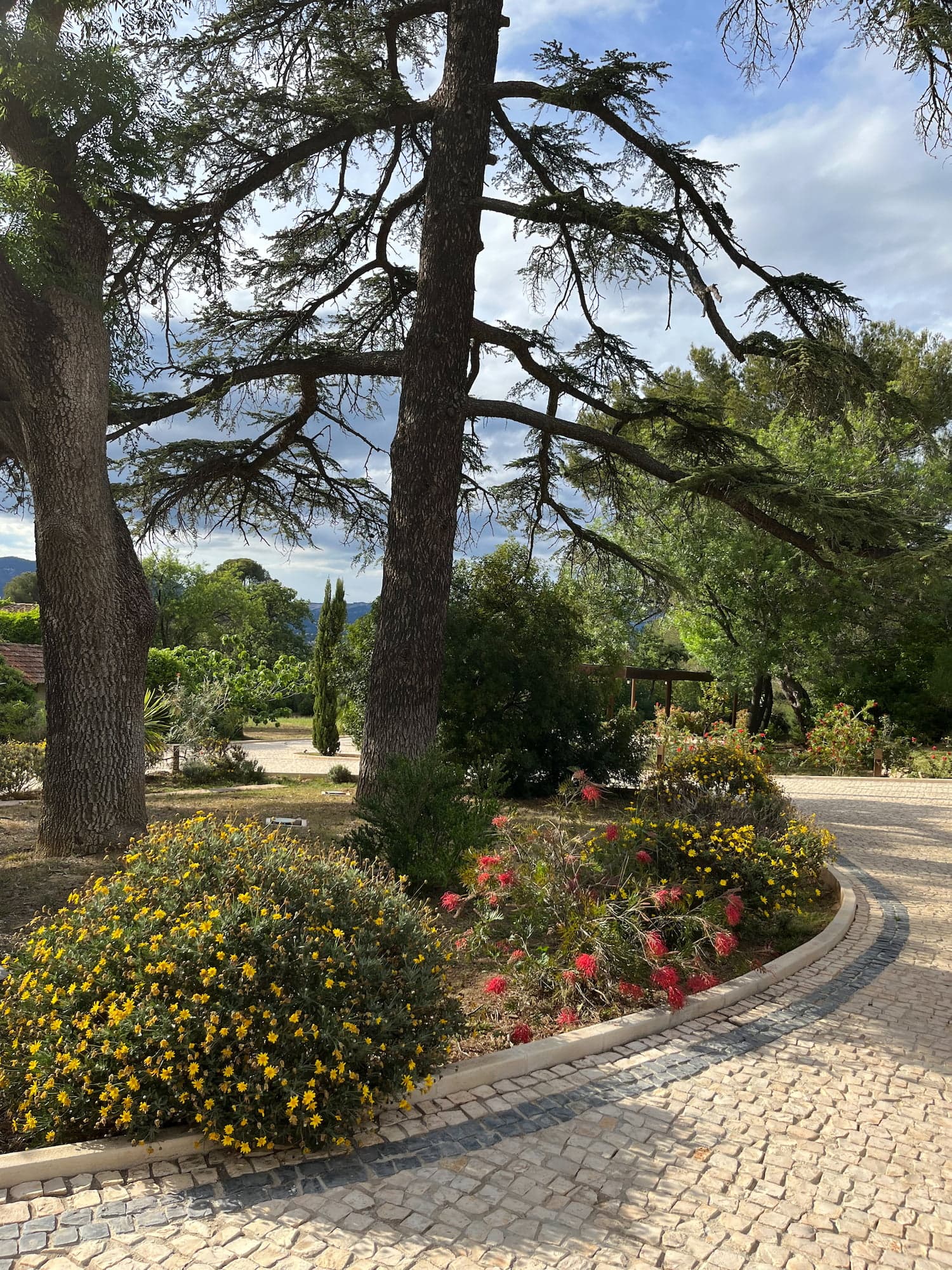 Allée pavée et végétation méditerranéenne