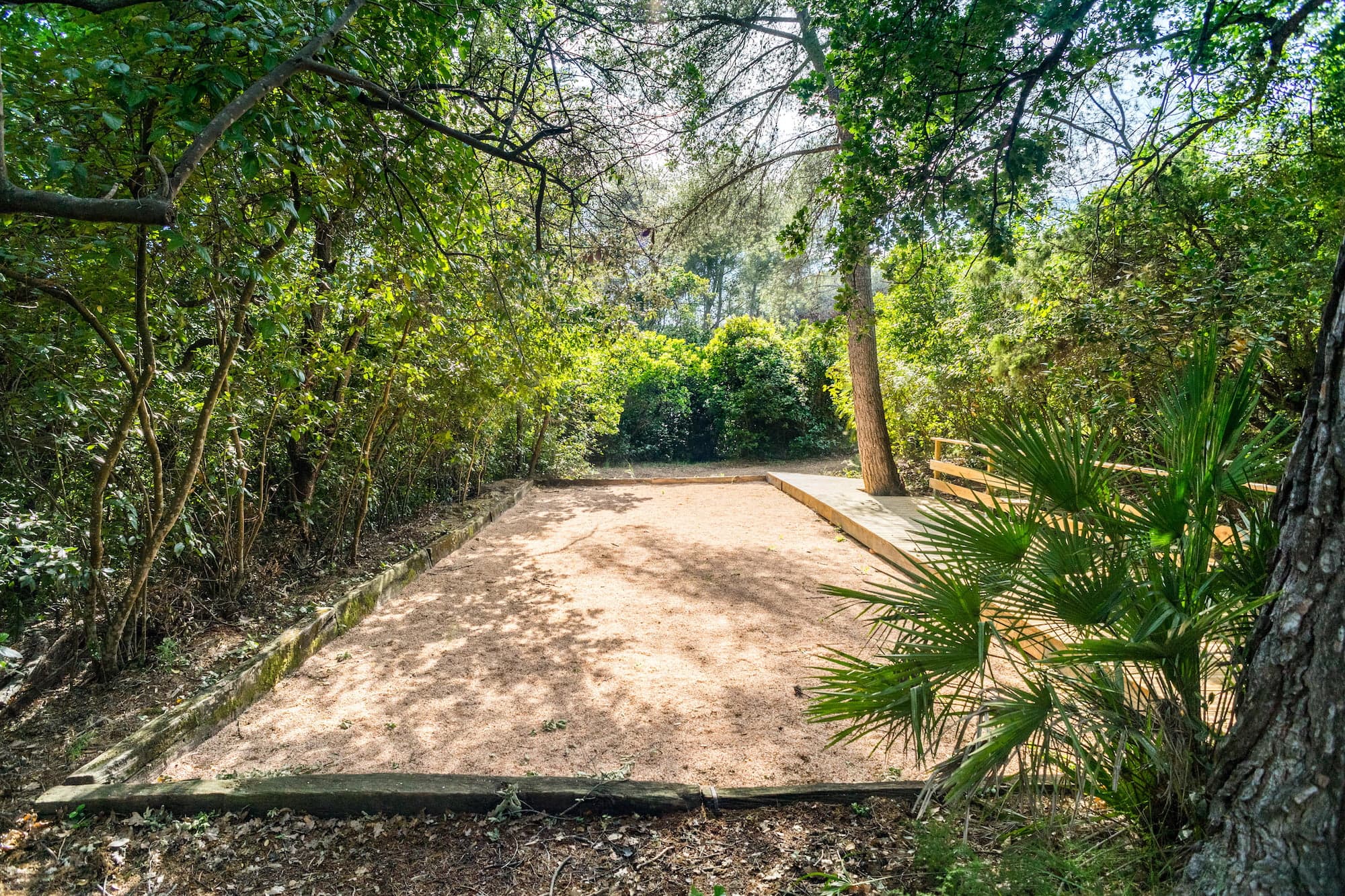 Terrain de pétanque sous une canopée naturelle