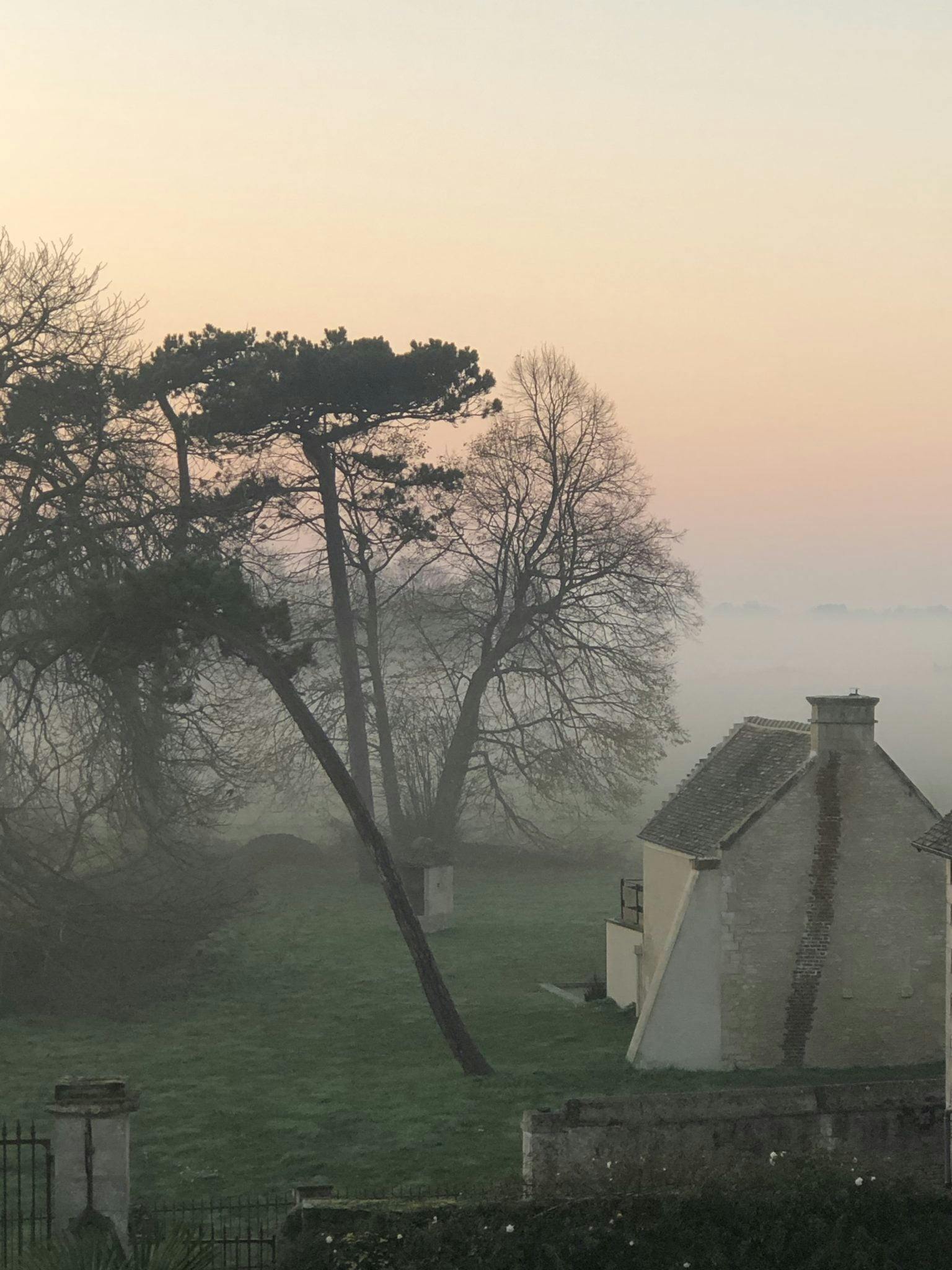 The house in the morning mist