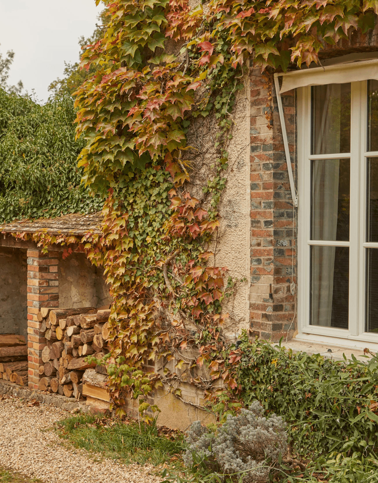 The facade covered with leaves, pile of logs, window