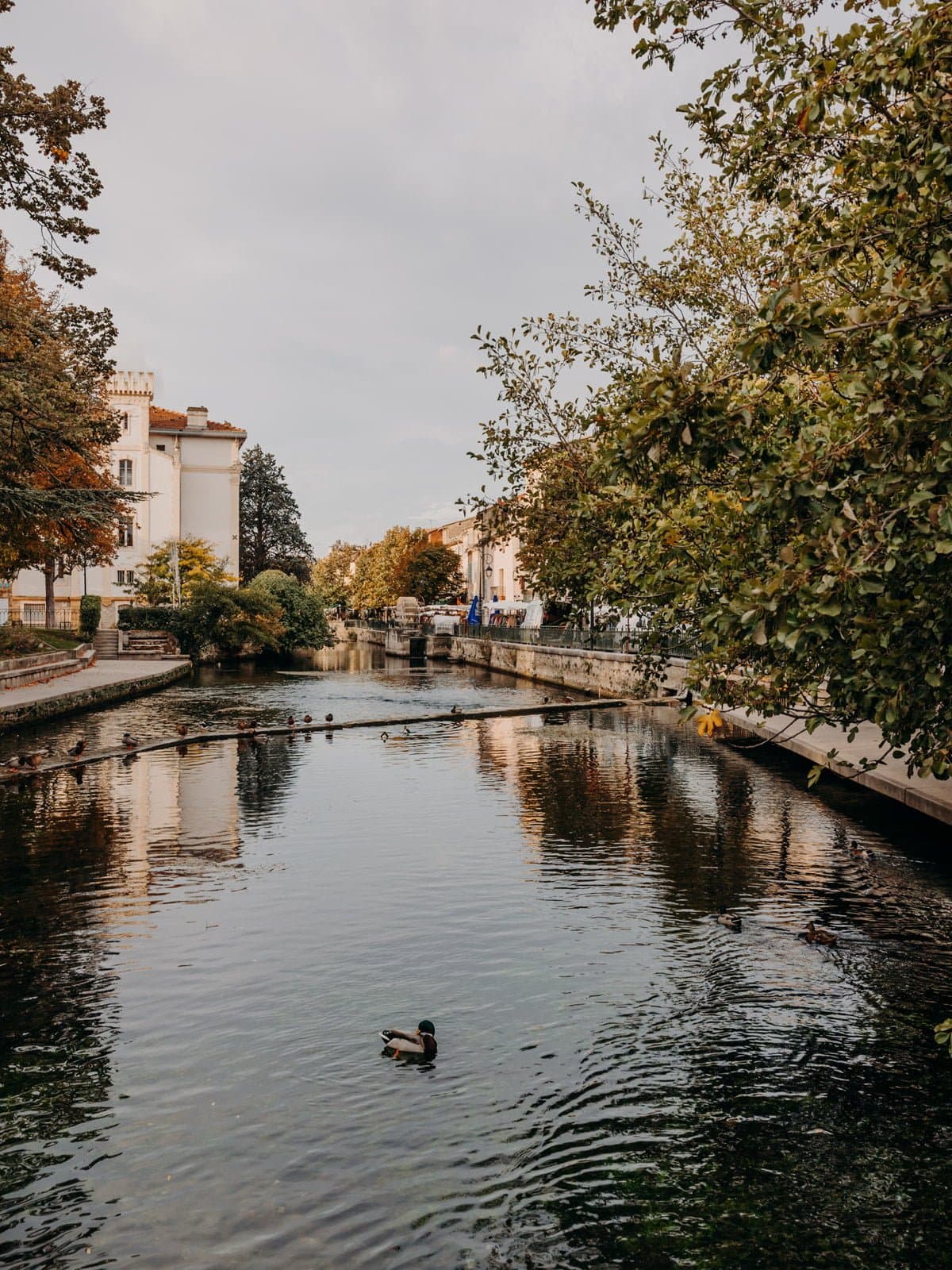 The charming canal of Isle-sur-la-Sorgue.
