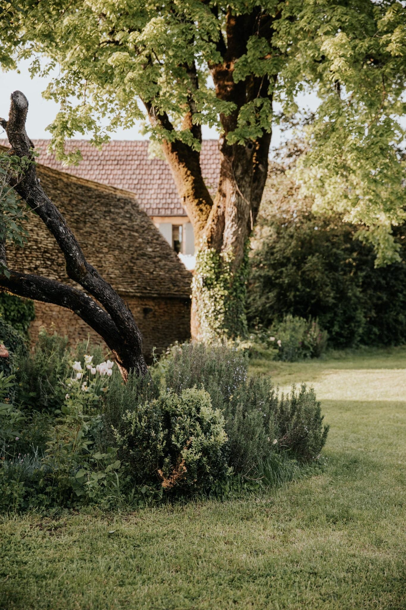 The garden of Bel Estiu. 