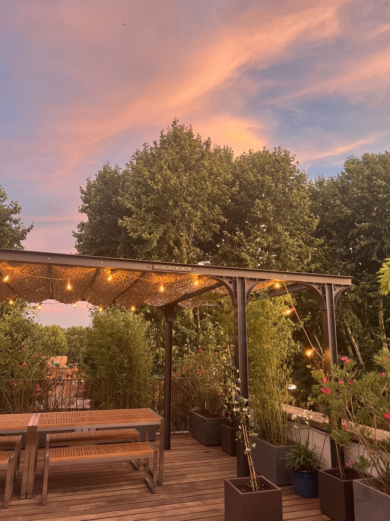 The terrace in the evening: pergola, plants