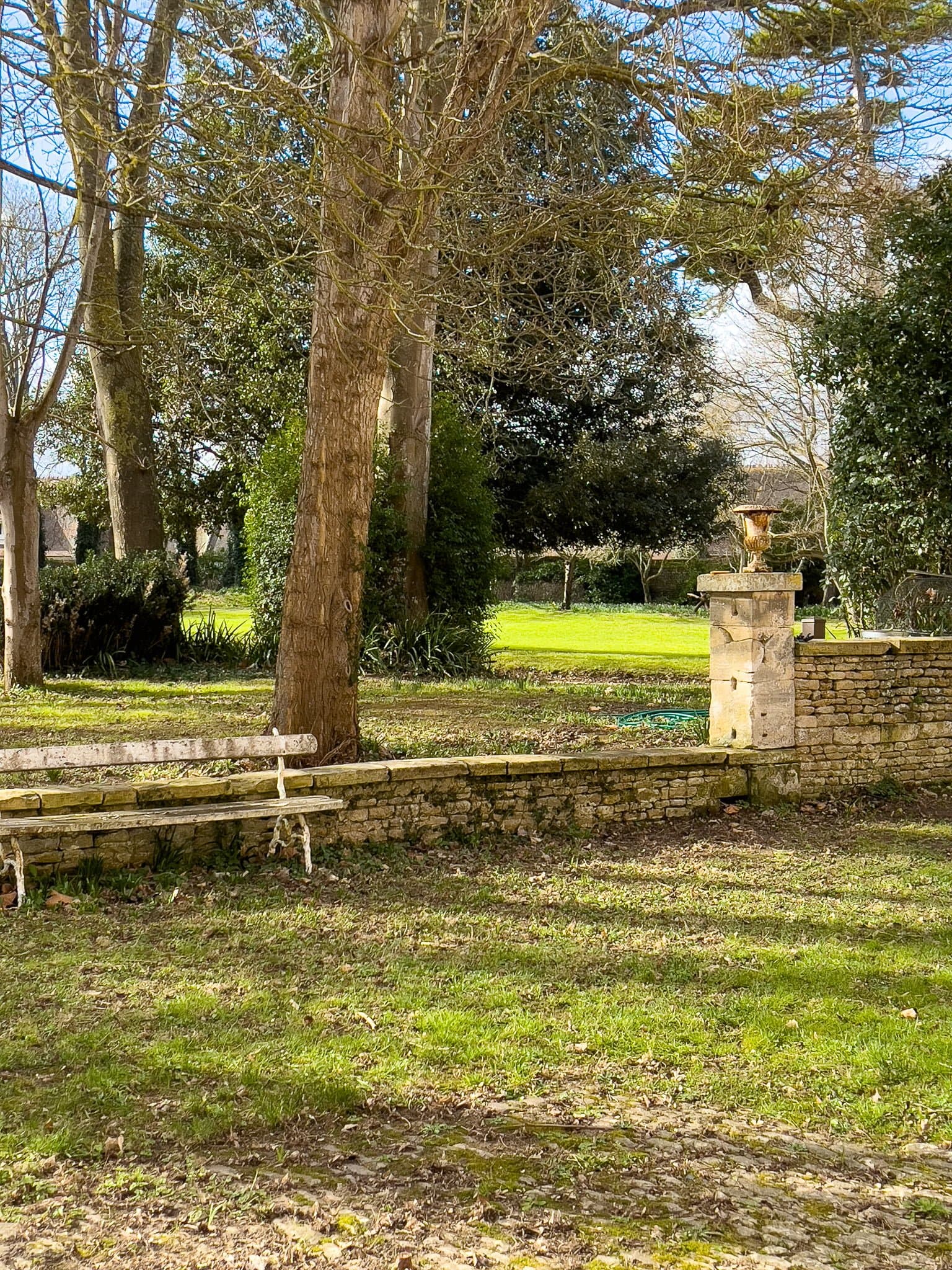 La pelouse du parc du château, arbres