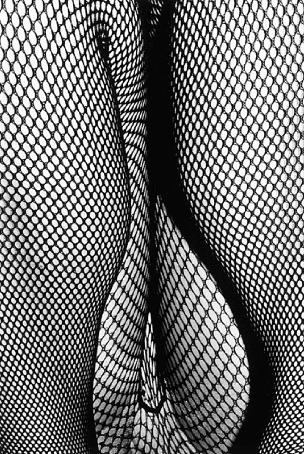 oeuvre « Tights In Shimotakaido »