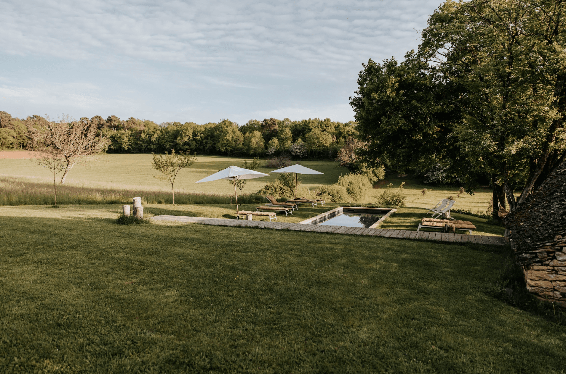 Vue sur le jardin et la piscine, forêt en arrière plan