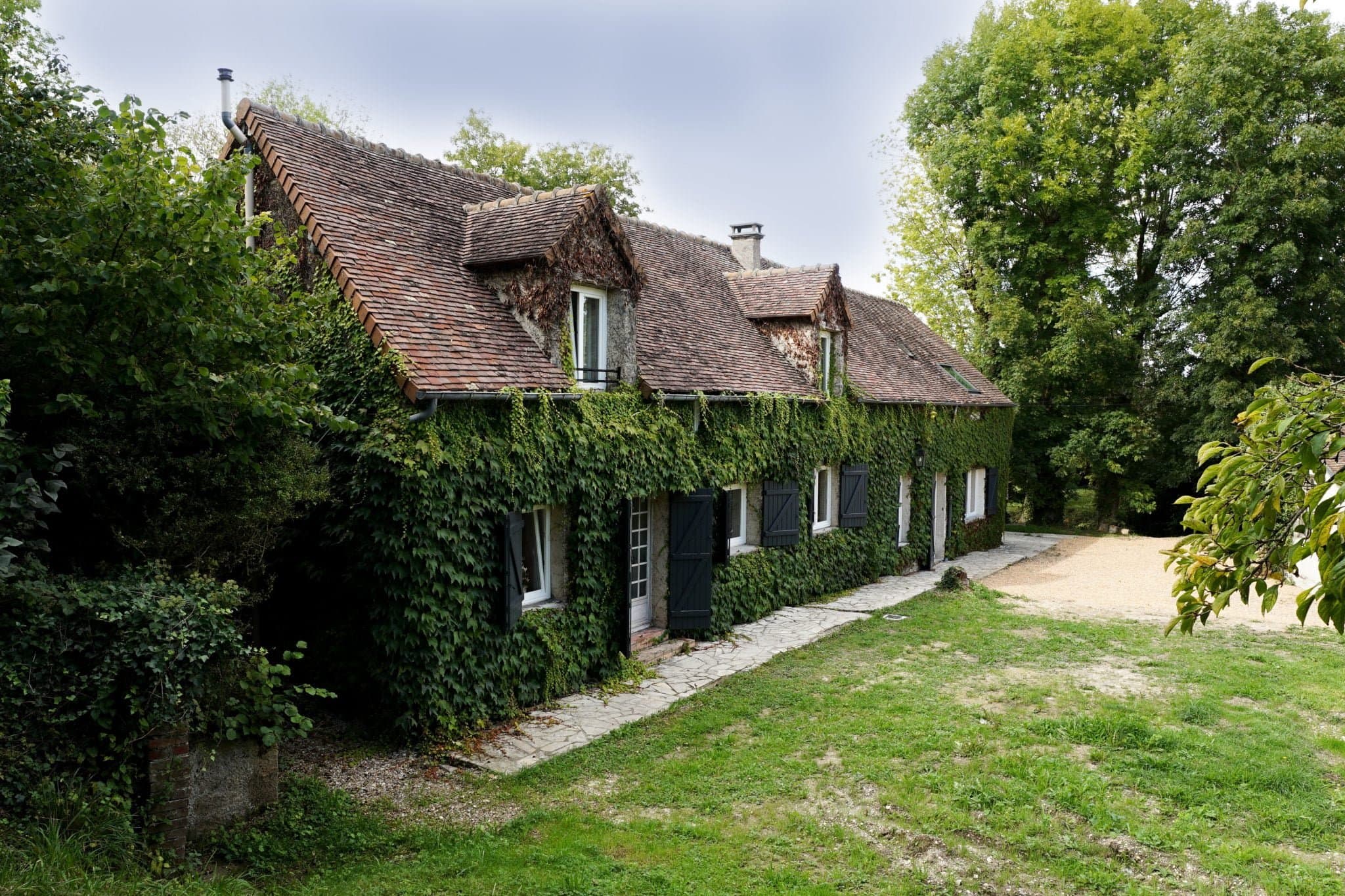 Façade de la maison en pierre recouverte de lierre, pelouse au premier plan