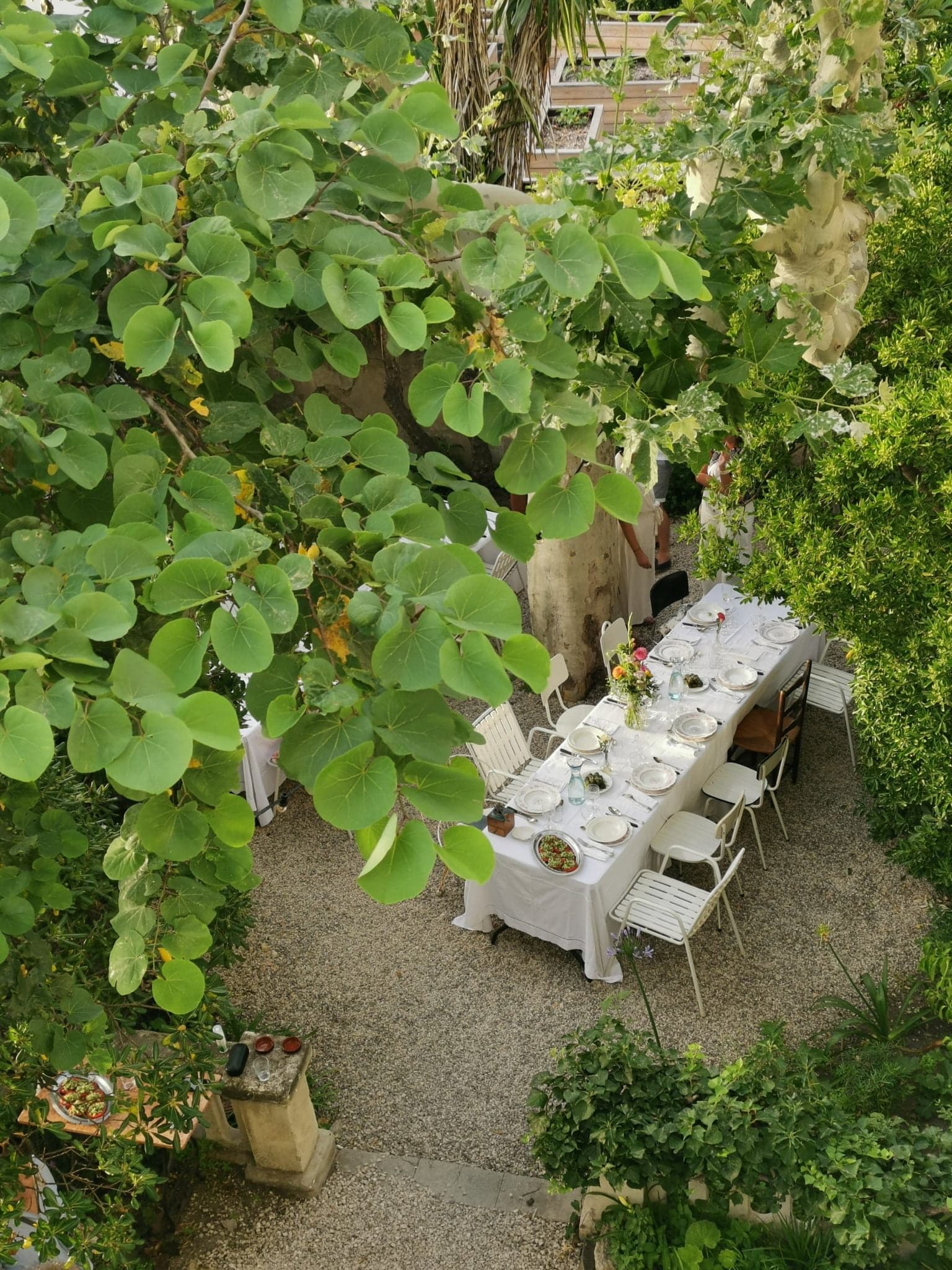 Déjeuner estival sous les arbres. 
