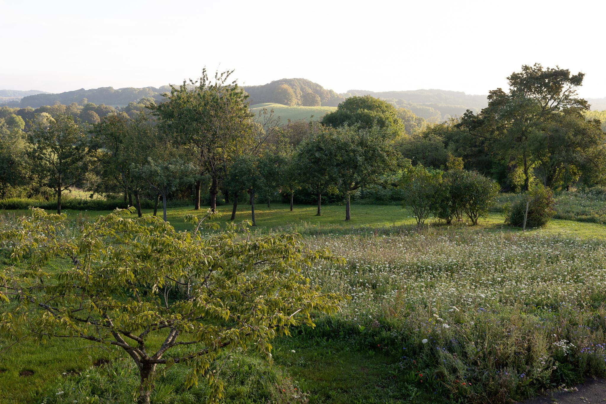 La campagne du Perche au Val Gaudry. © Nolwenn Pernin