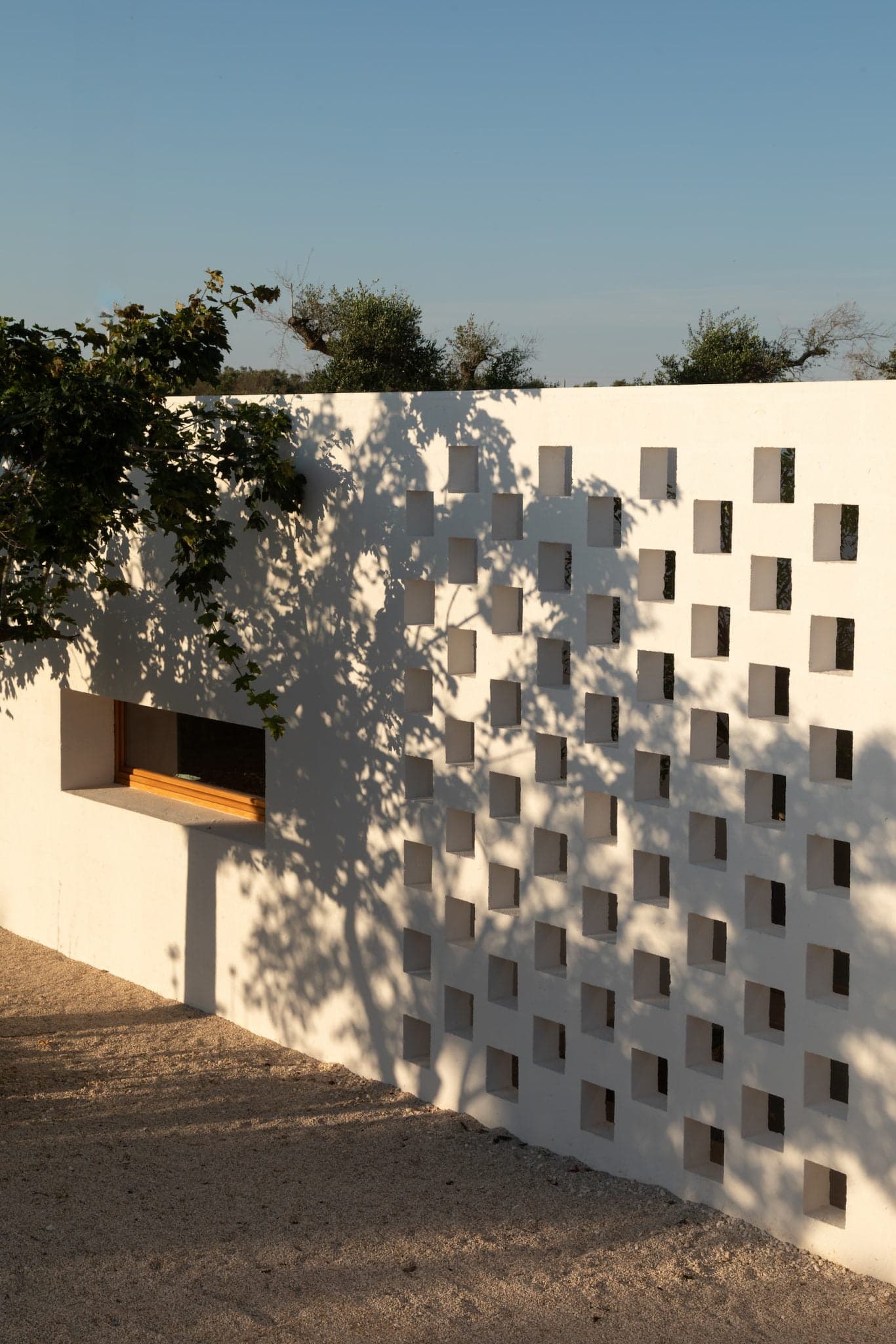 A white perforated wall with square cutouts creates a pattern of shadow and light. Vines and leaves from a nearby plant partially cover the wall. A small rectangular window with a wooden frame is set into the wall.