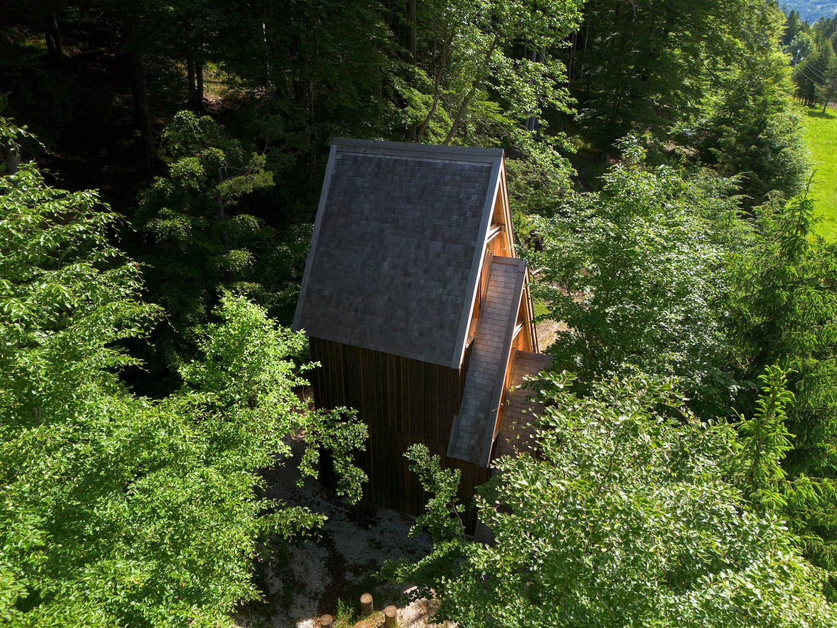 Une petite cabane en bois en forme de A avec un toit en bardeaux sombres est nichée parmi des arbres verts luxuriants. La lumière du soleil filtre à travers la canopée des arbres, projetant des ombres tachetées sur la cabane et le feuillage environnant. Une prairie herbeuse peut être aperçue en arrière-plan.