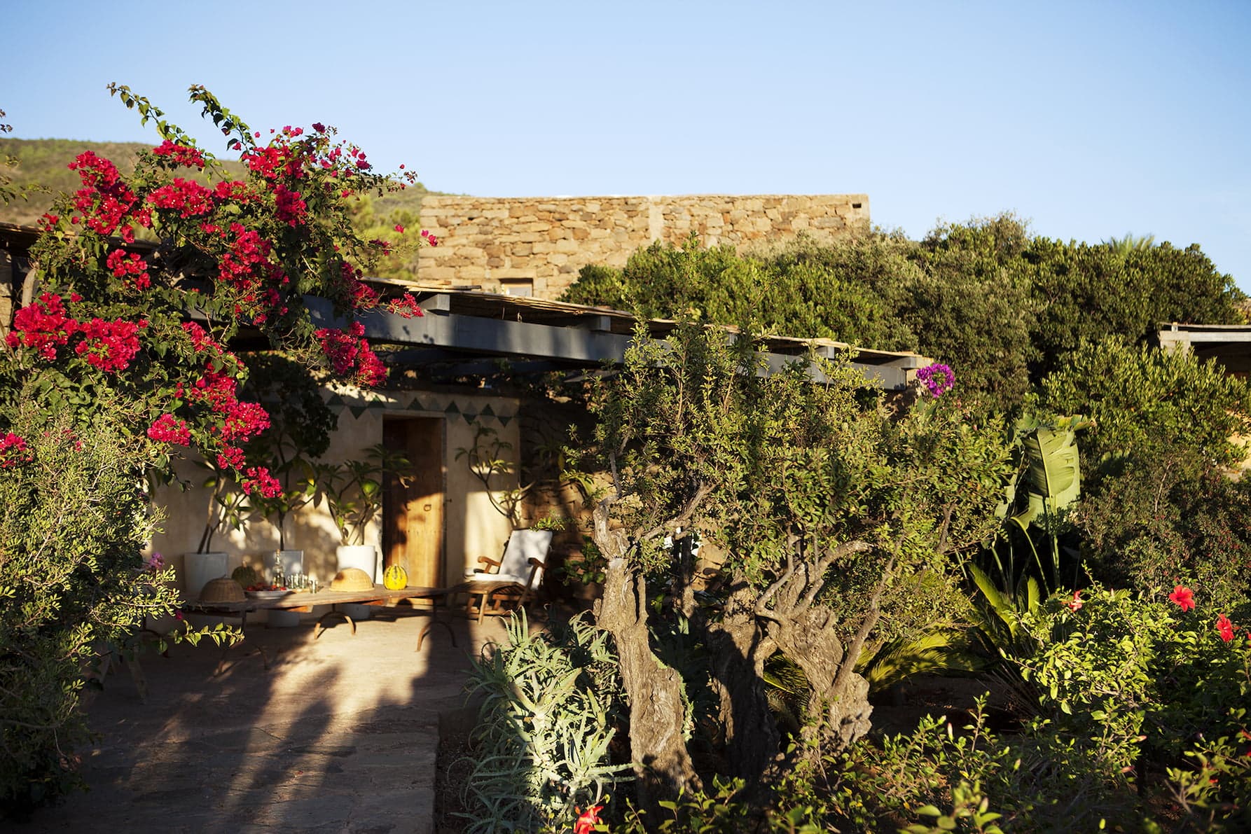 A charming rustic house surrounded by lush vegetation, including vibrant bougainvilleas with bright pink flowers. The structure is partially shaded by a pergola, and the landscape features various trees and greenery under a clear blue sky.