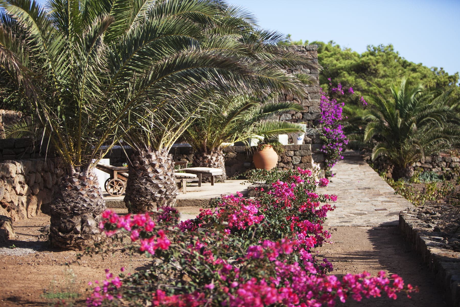 Le jardin luxuriant de Tenuta Borgia. 