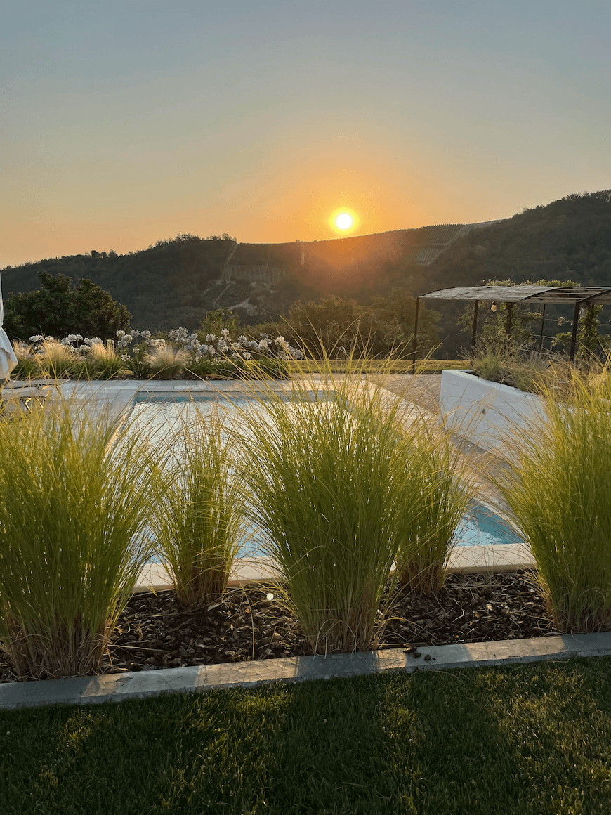 A serene sunset over a picturesque landscape features lush hills in the background. In the foreground, ornamental grasses line a pool, with flowering plants beyond. A pergola and some outdoor furniture are visible on the right. The sky displays a warm gradient.