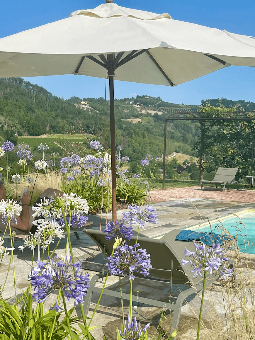 A tranquil outdoor scene features a poolside area with several loungers under a large white umbrella. Purple and white flowers bloom in the foreground, while lush green hills extend in the background beneath a clear blue sky.