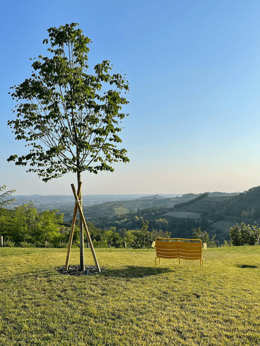 A single tree stands on top of a grassy hill overlooking a vast, lush landscape of rolling hills beneath a clear blue sky. Next to the tree, a yellow bench is placed, inviting onlookers to sit and enjoy the serene, panoramic view.