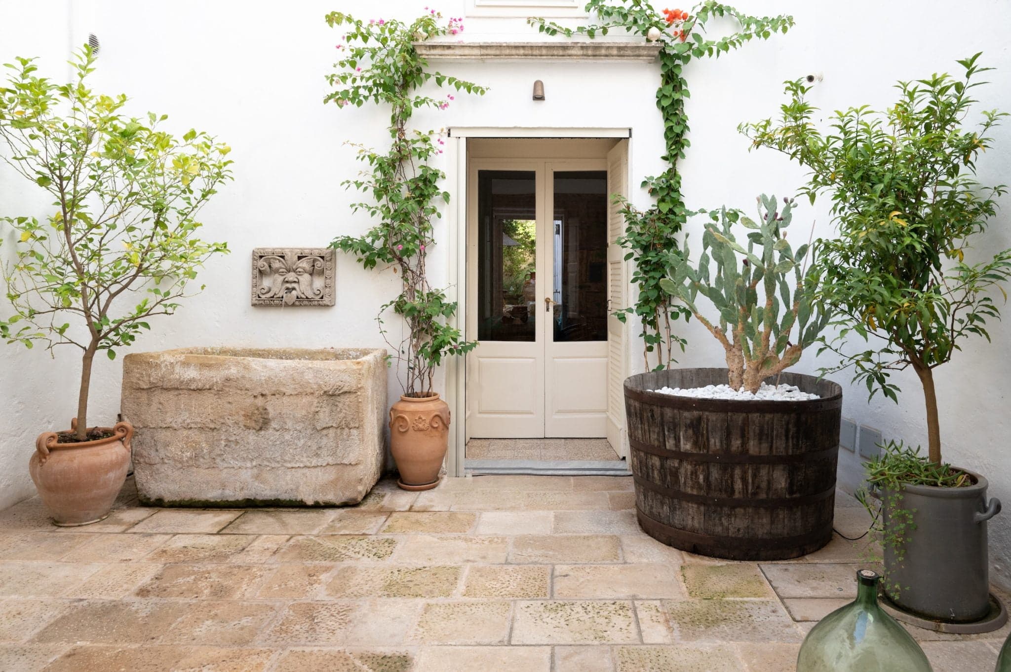 A charming courtyard features a mix of potted plants and a rectangular stone water trough. The white walls are adorned with climbing vines, and a set of partially open double doors leads to a well-lit interior space. The floor is paved with stone tiles.
