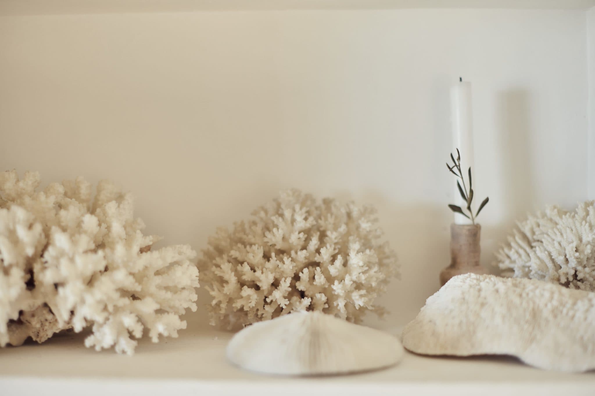 A beige shelf is adorned with delicate pieces of white coral, a white candle in a small holder decorated with a tiny branch, and a variety of white seashells. The arrangement creates a serene, coastal aesthetic.