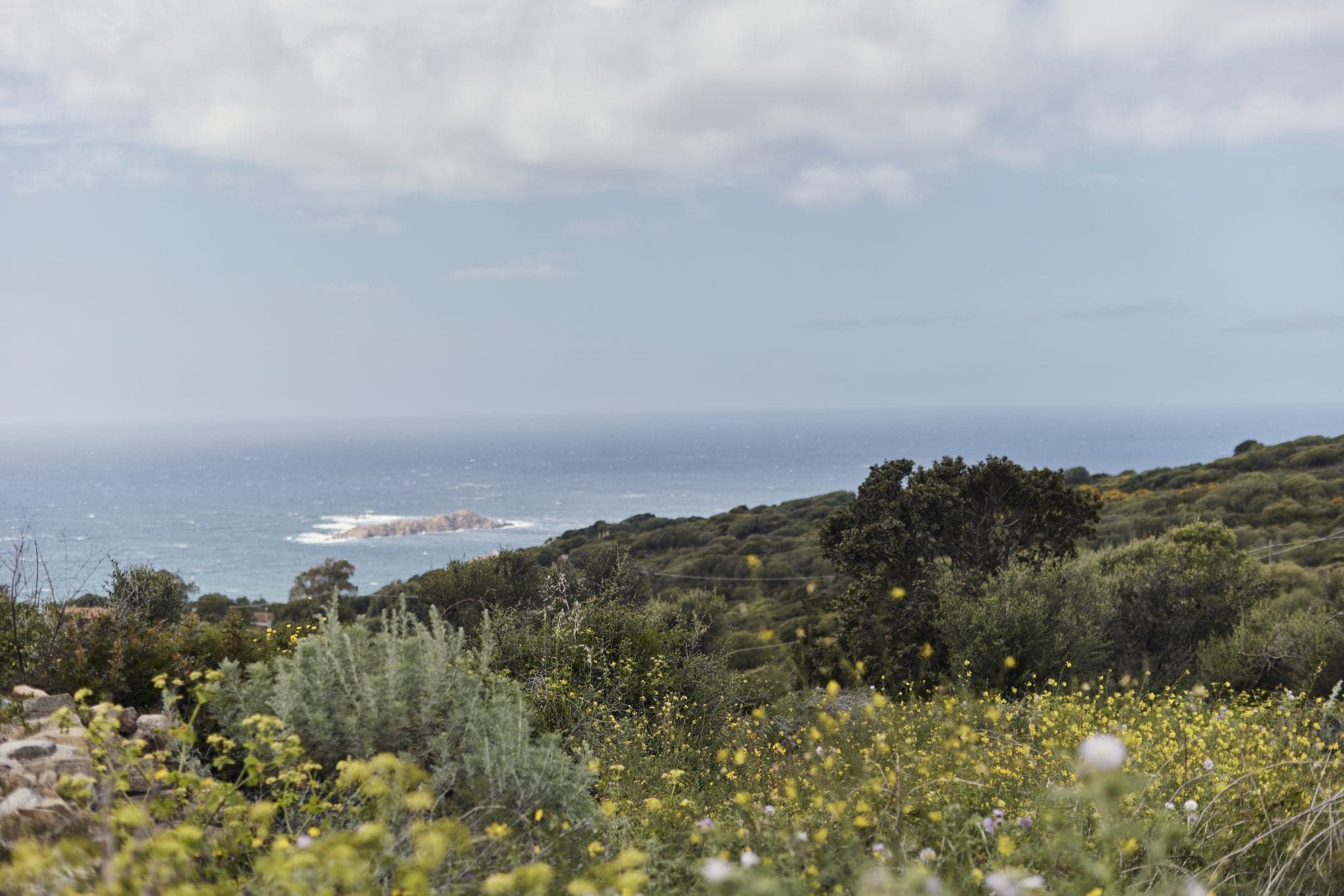 A picturesque coastal landscape featuring a mix of wildflowers and shrubs in the foreground, dense greenery and trees in the middle, and a calm blue sea with a small rocky island in the background beneath a partly cloudy sky.