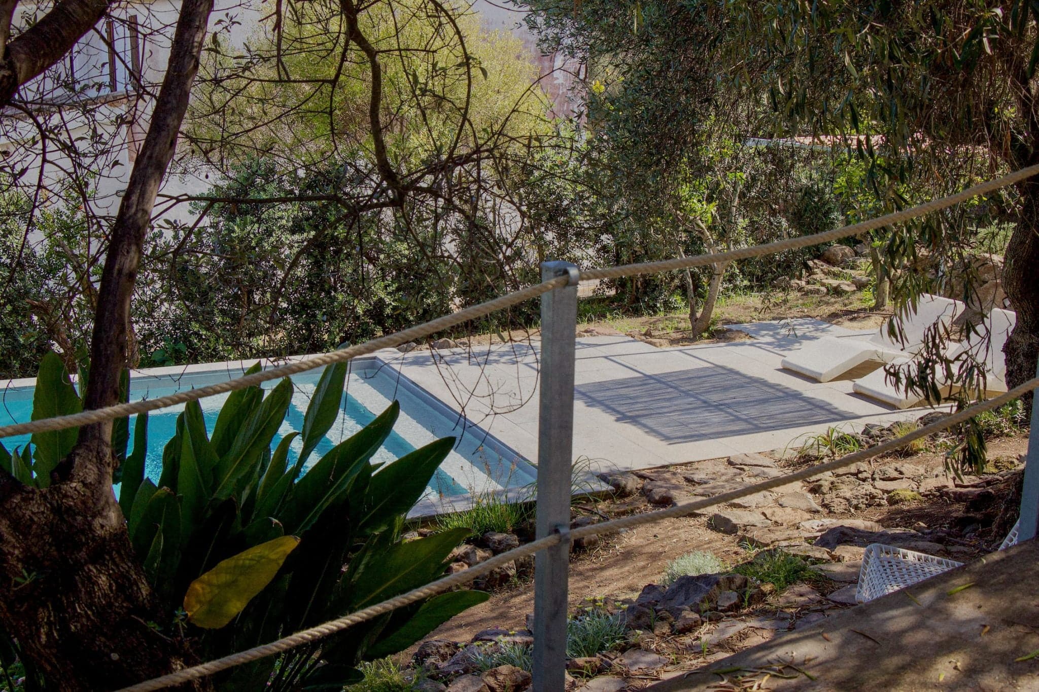 Un espace extérieur serein avec une piscine entourée d'une végétation luxuriante. La terrasse de la piscine est dotée de chaises longues blanches et est entourée d'une clôture en corde. Les arbres et les plantes créent une atmosphère paisible avec une lumière du soleil tamisée qui filtre à travers.