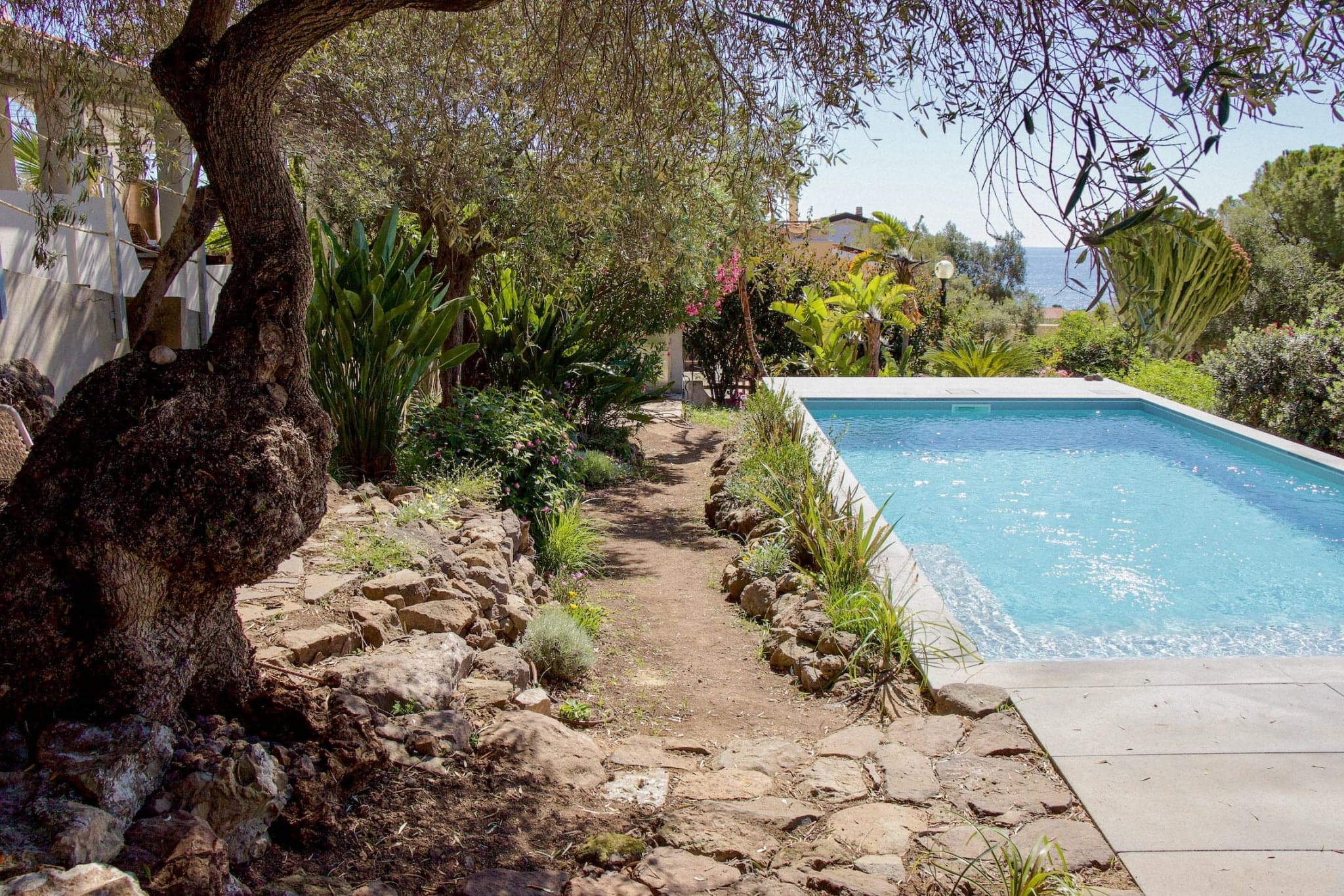 Une scène extérieure sereine avec un chemin de pierre menant à une piscine rectangulaire entourée d'une végétation luxuriante. La piscine a une eau bleu clair et il y a un grand arbre avec un tronc épais sur la gauche. En arrière-plan, le ciel est clair et la mer est visible.