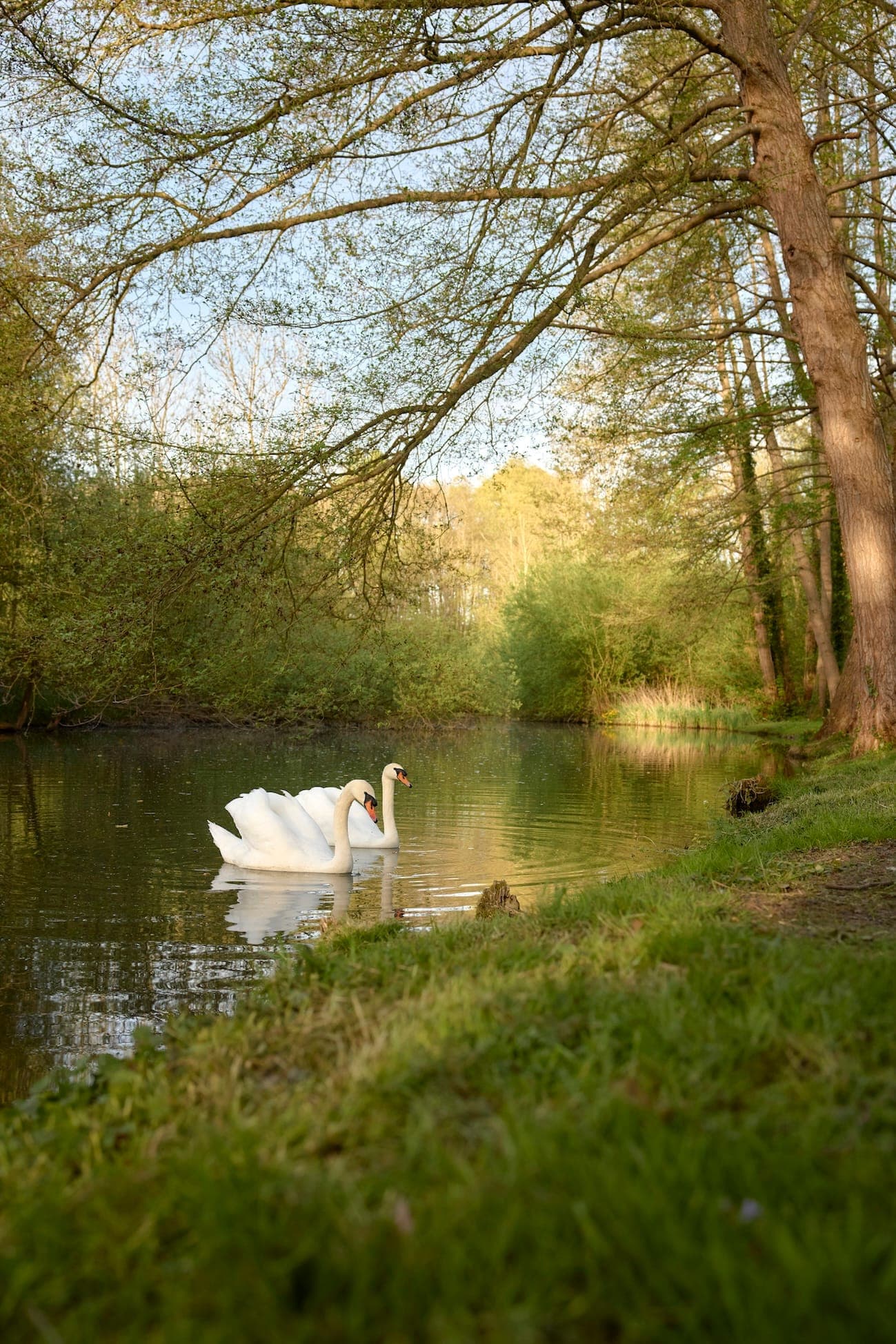 The banks of the Eure at Maison Crèvecœur.