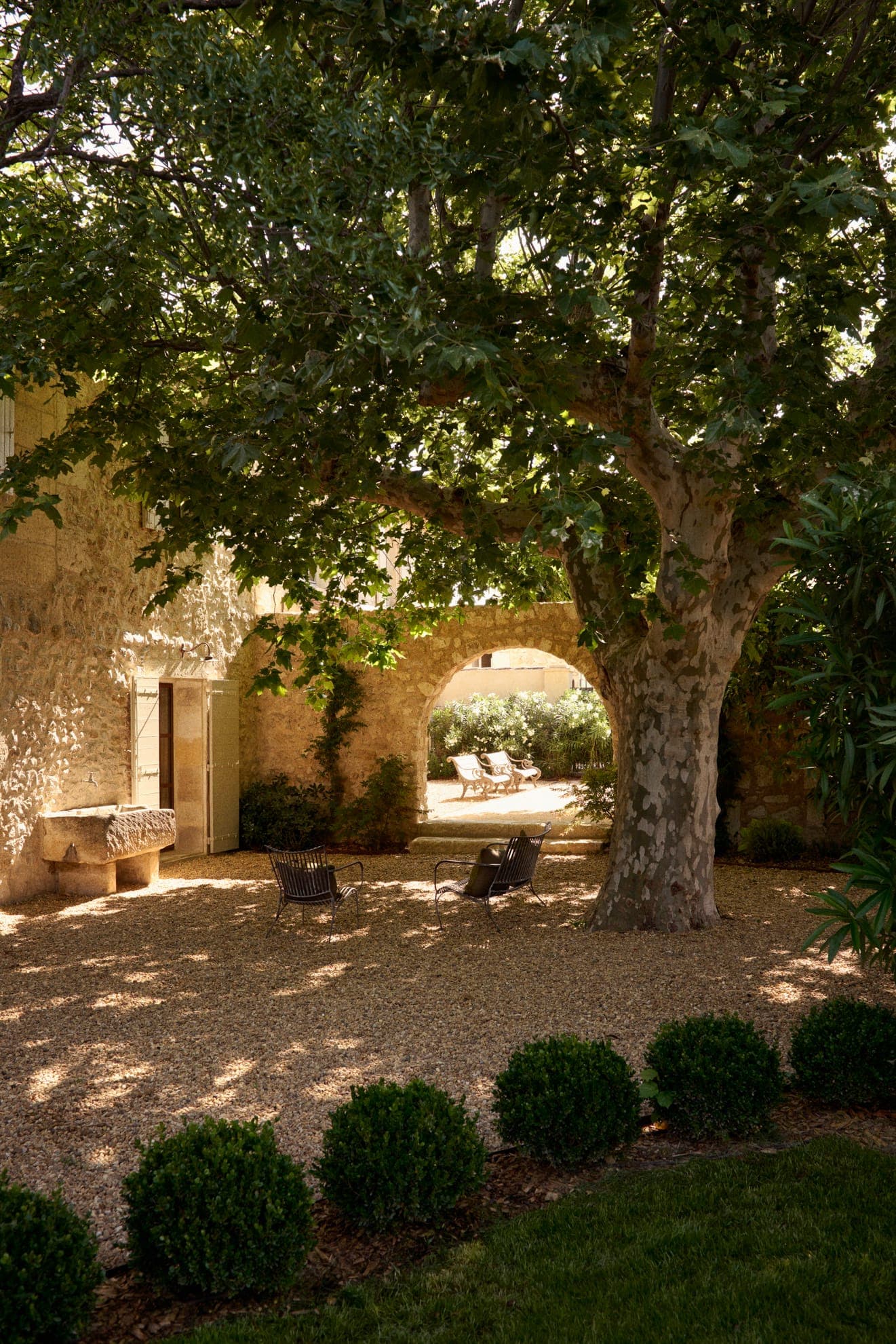 Le jardin où profiter d'essences provençales. 