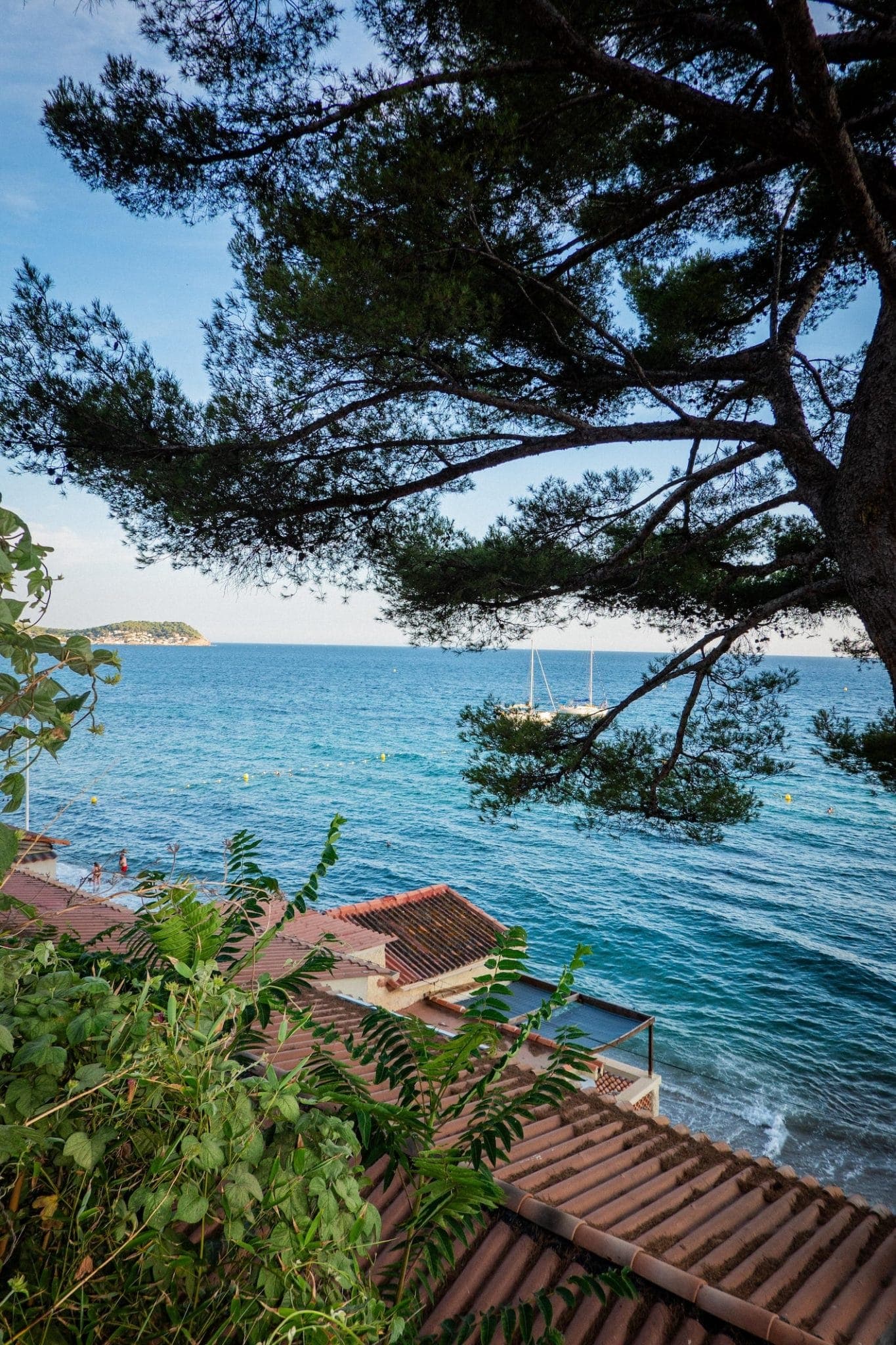 A tranquil seaside scene overlooking a calm blue ocean, partially framed by a large tree and lush green foliage. Two sailboats drift in the distance under a clear sky. The roofs of nearby buildings are visible in the foreground.