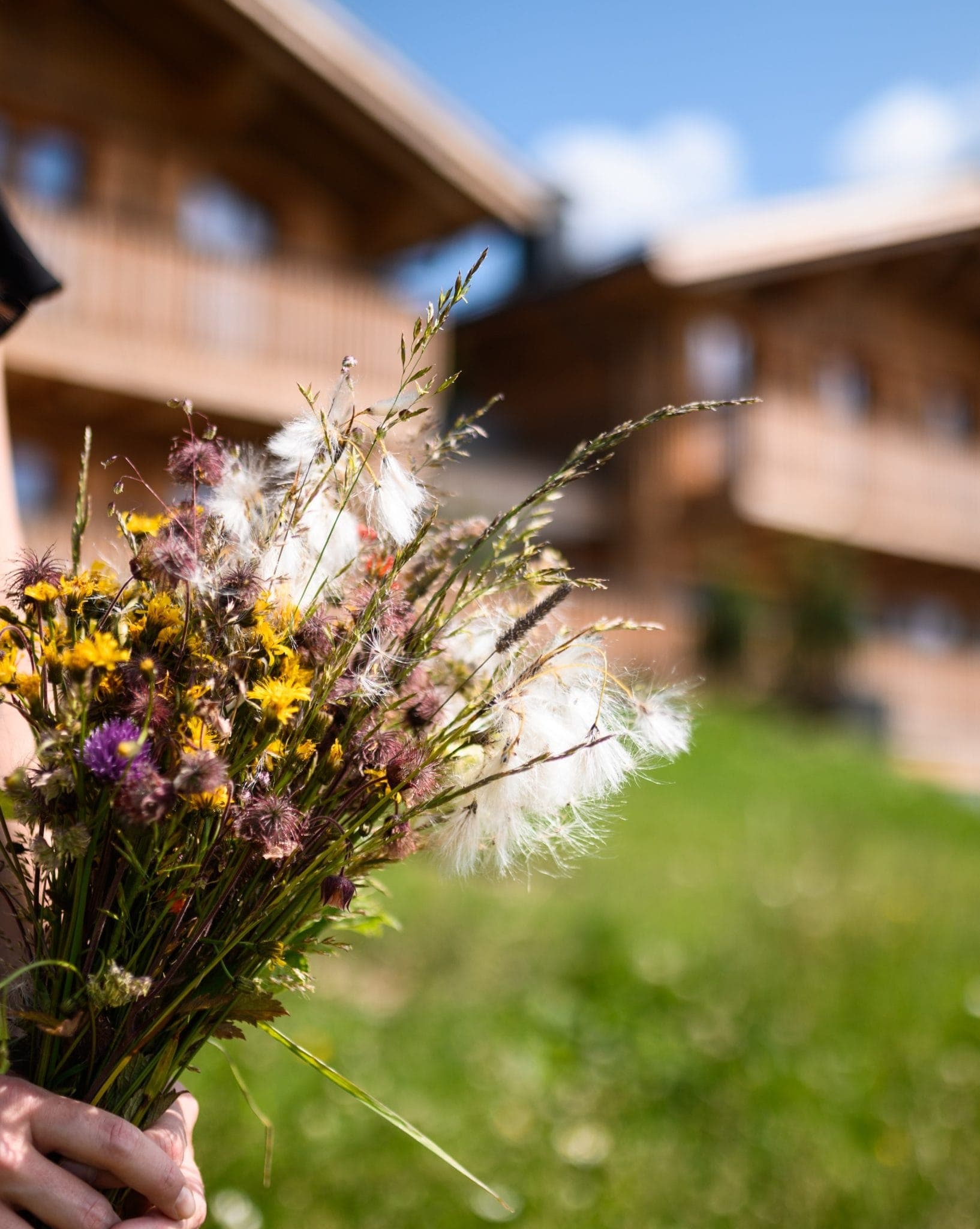 Une personne tient un bouquet de fleurs sauvages avec des fleurs jaunes, violettes et blanches en évidence. L'arrière-plan présente des bâtiments en bois et un champ herbeux sous un ciel bleu.