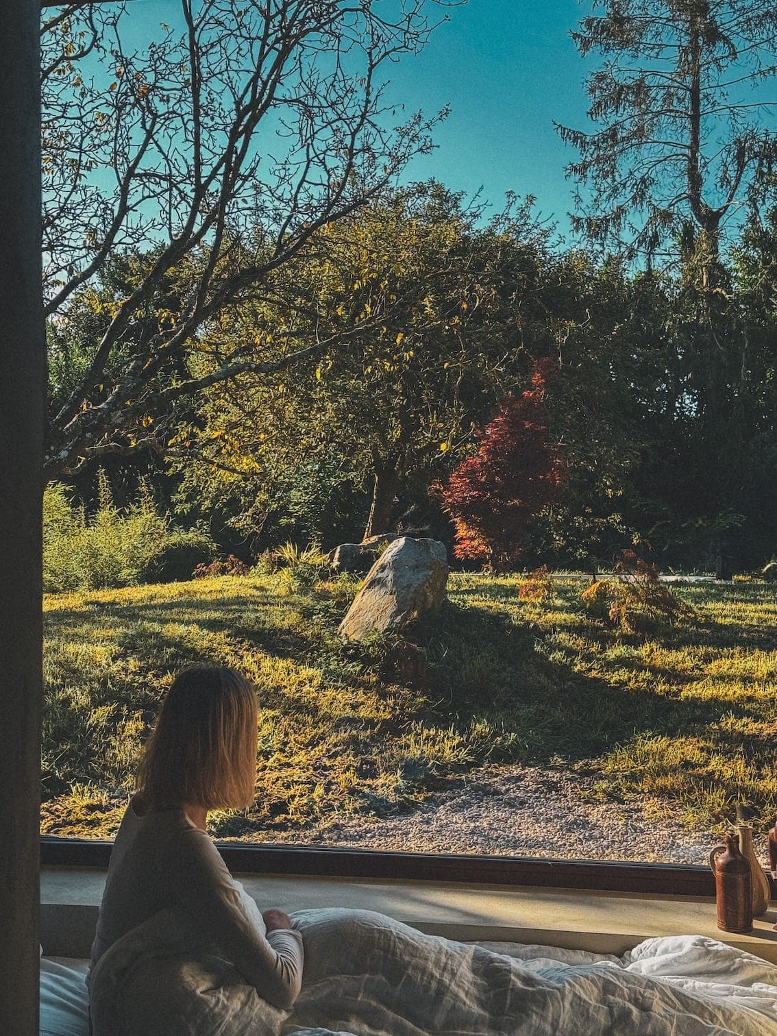 Une personne enveloppée dans une couverture est assise près d'une grande fenêtre, contemplant un jardin ensoleillé avec des arbres et des rochers. La scène est sereine, avec un ciel bleu clair au-dessus.