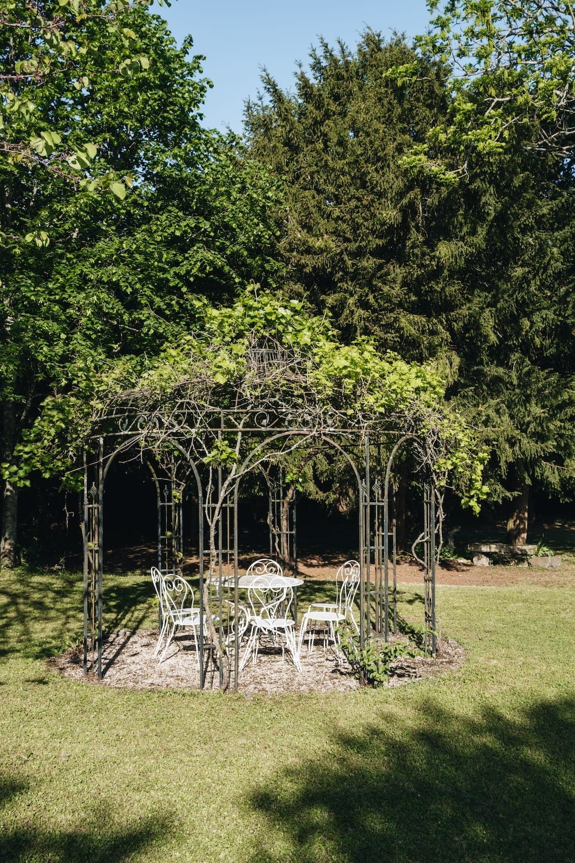 Au centre d'un espace vert se dresse un belvédère en fer forgé au toit recouvert de vigne. À l'intérieur, six chaises blanches sont disposées autour d'une petite table ronde. De grands arbres et une végétation luxuriante entourent la structure sous un ciel bleu clair.