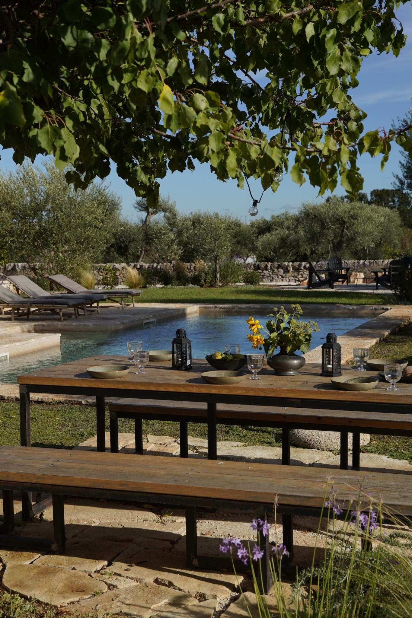 A serene outdoor setting with a wooden table under a tree, adorned with plants and lanterns. In the background, a swimming pool is surrounded by sun loungers and lush vegetation under a clear blue sky.