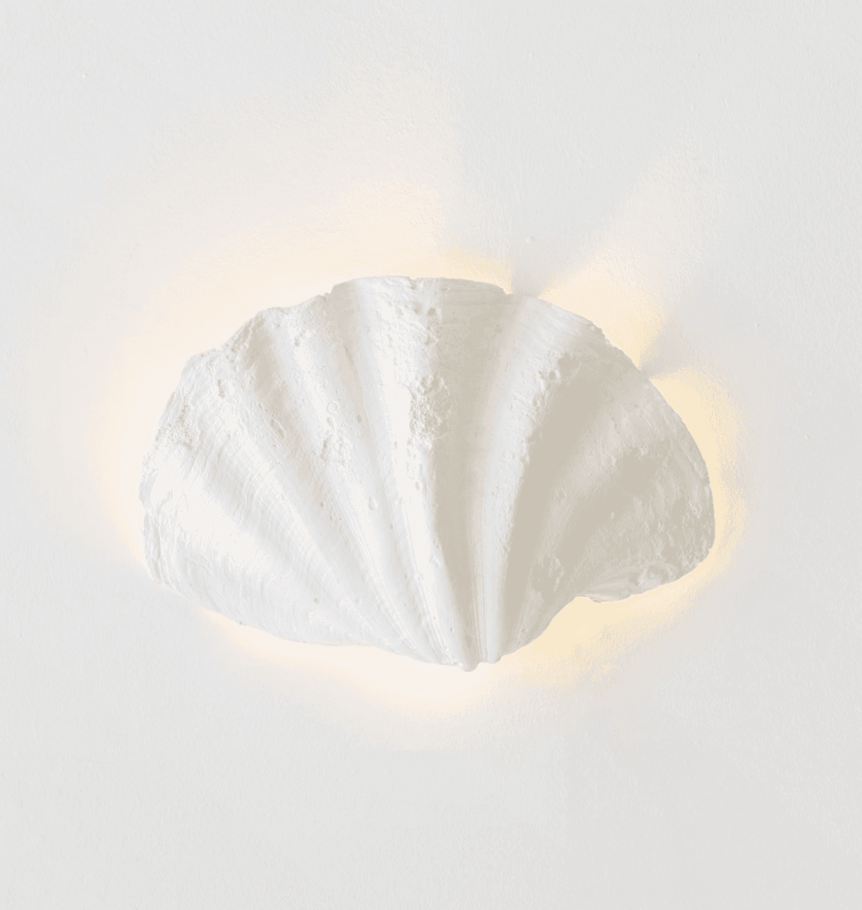 Applique blanche en forme de coquillage Axel Chay 