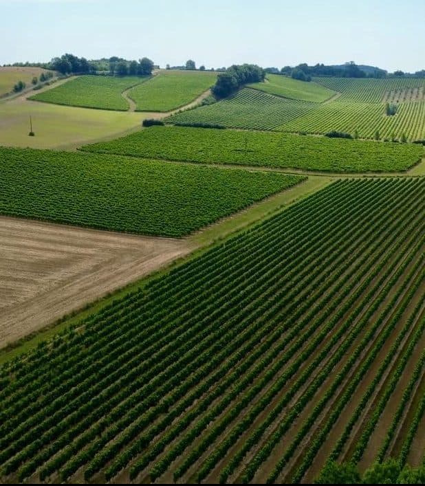 Wine lovers will feel right at home here.