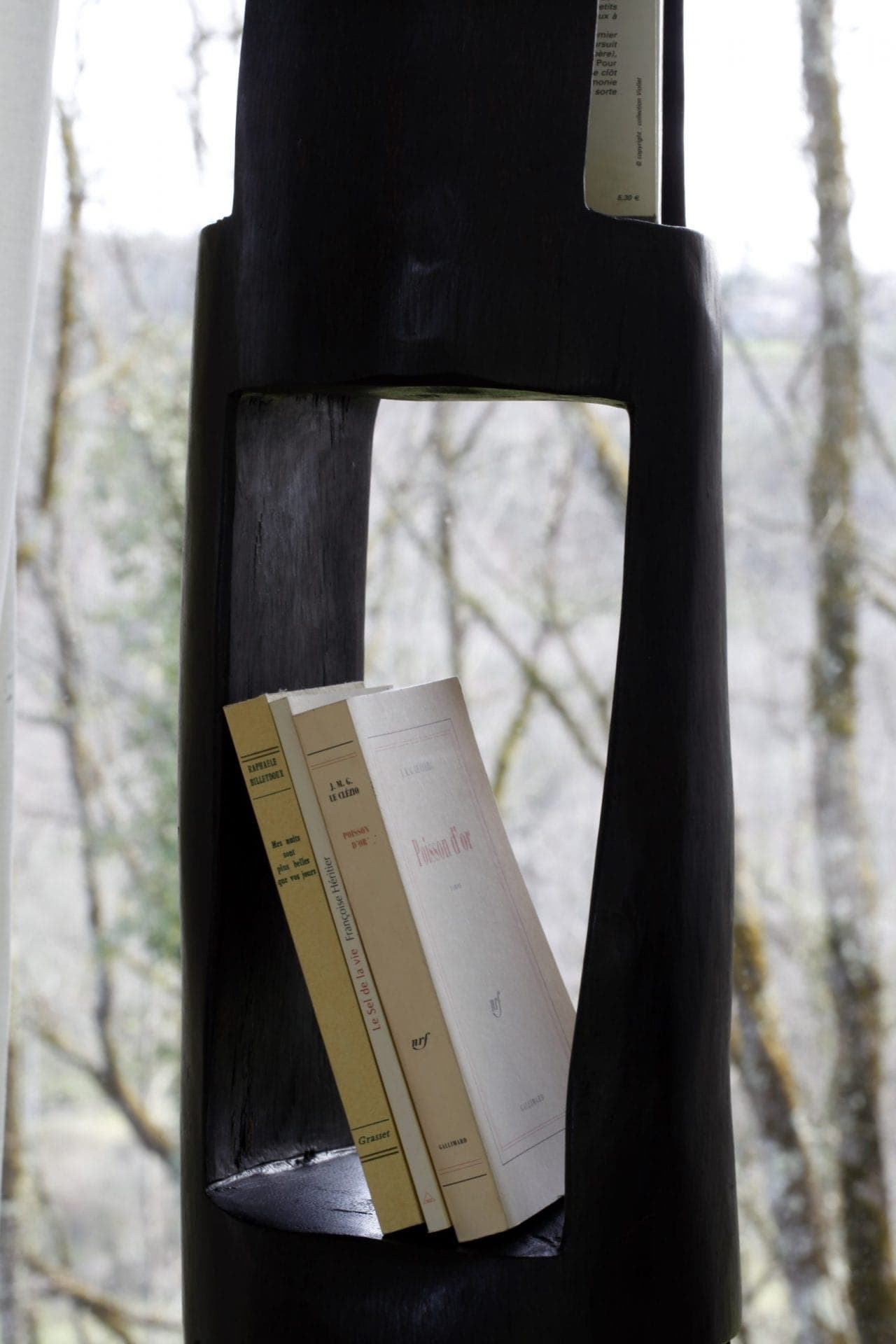 Books are neatly arranged on a modern black sculptural shelf against a blurred background of trees seen through a window. The shelf's sleek design contrasts with the natural landscape outside.